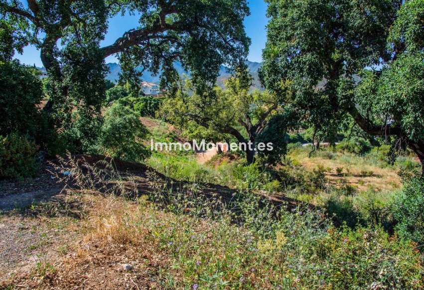 Reventa - Terreno - Marbella - La Mairena