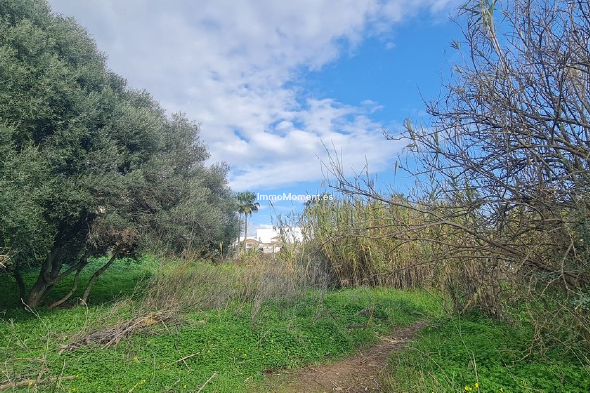 Reventa - Terreno - Mijas - Campo Mijas