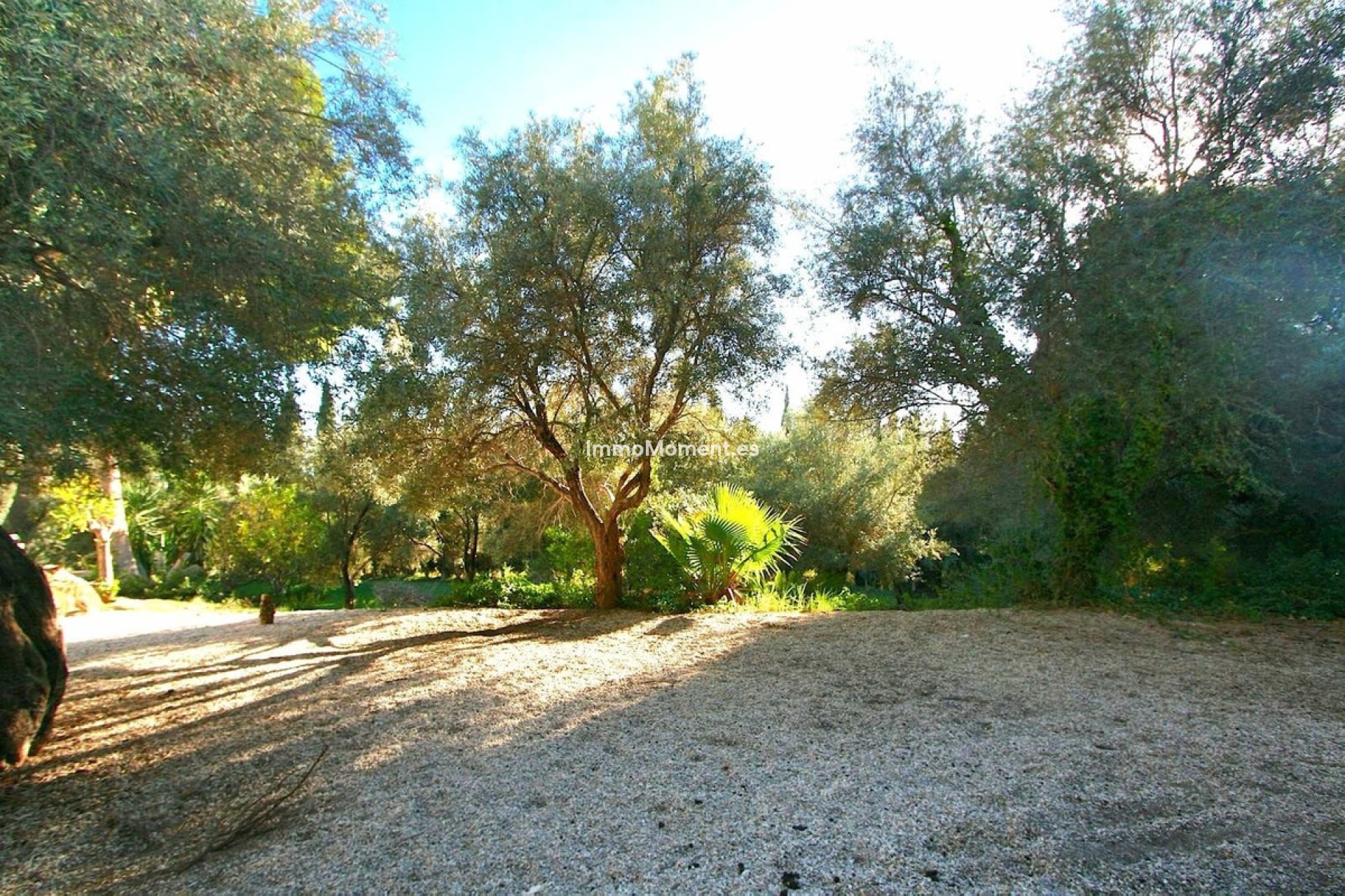 Reventa - Terreno - Mijas - Mijas Centro