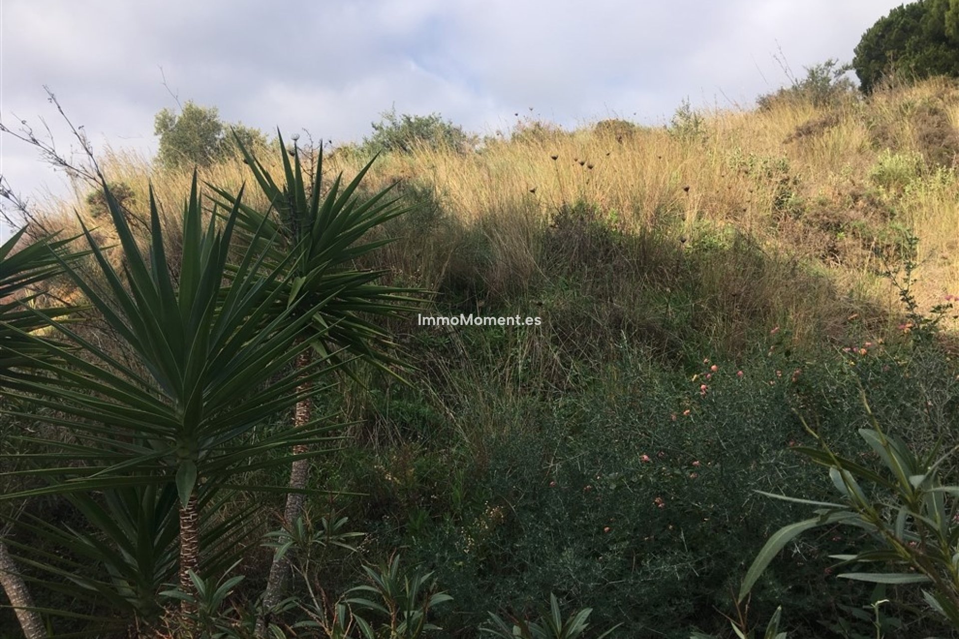 Reventa - Terreno - Mijas - Mijas Centro