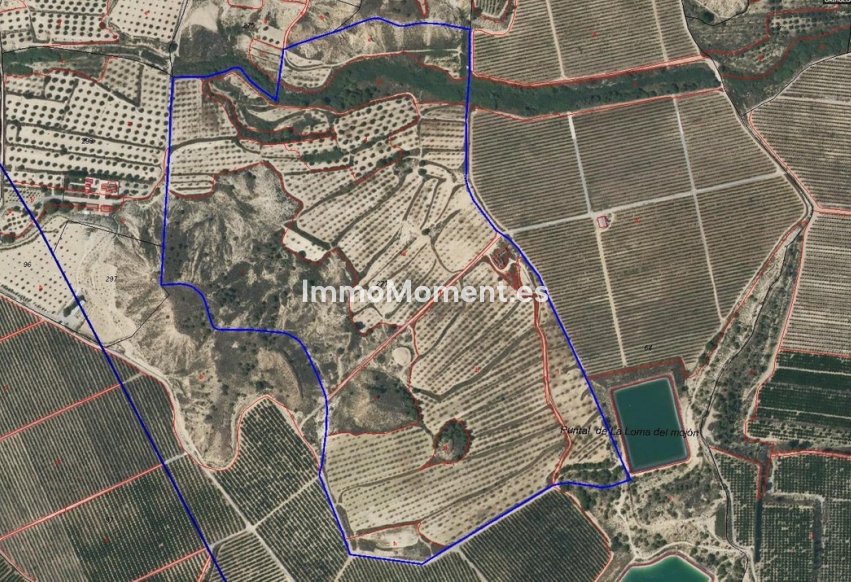 Reventa - Terreno - Orihuela - Torremendo