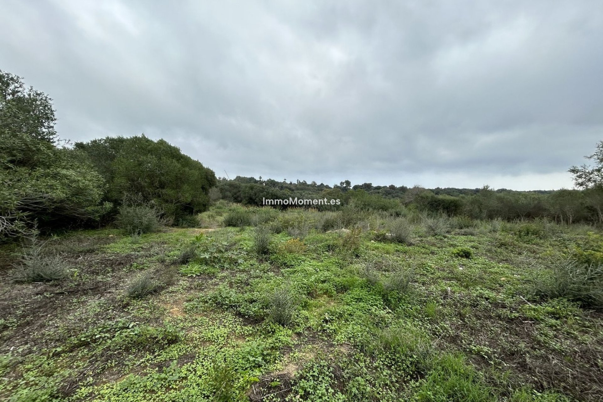 Reventa - Terreno - Sotogrande - Sotogrande Alto