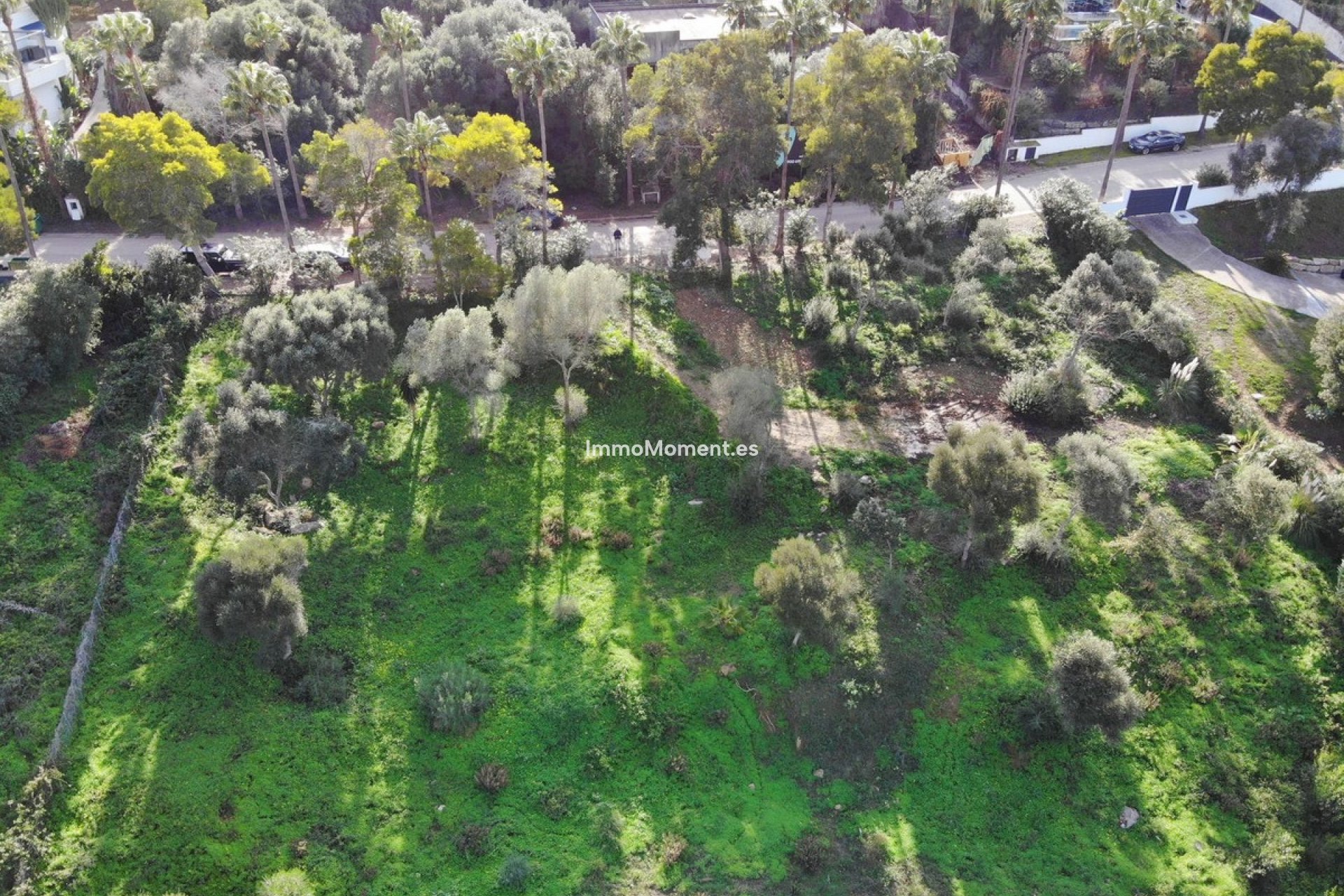 Reventa - Terreno - Sotogrande