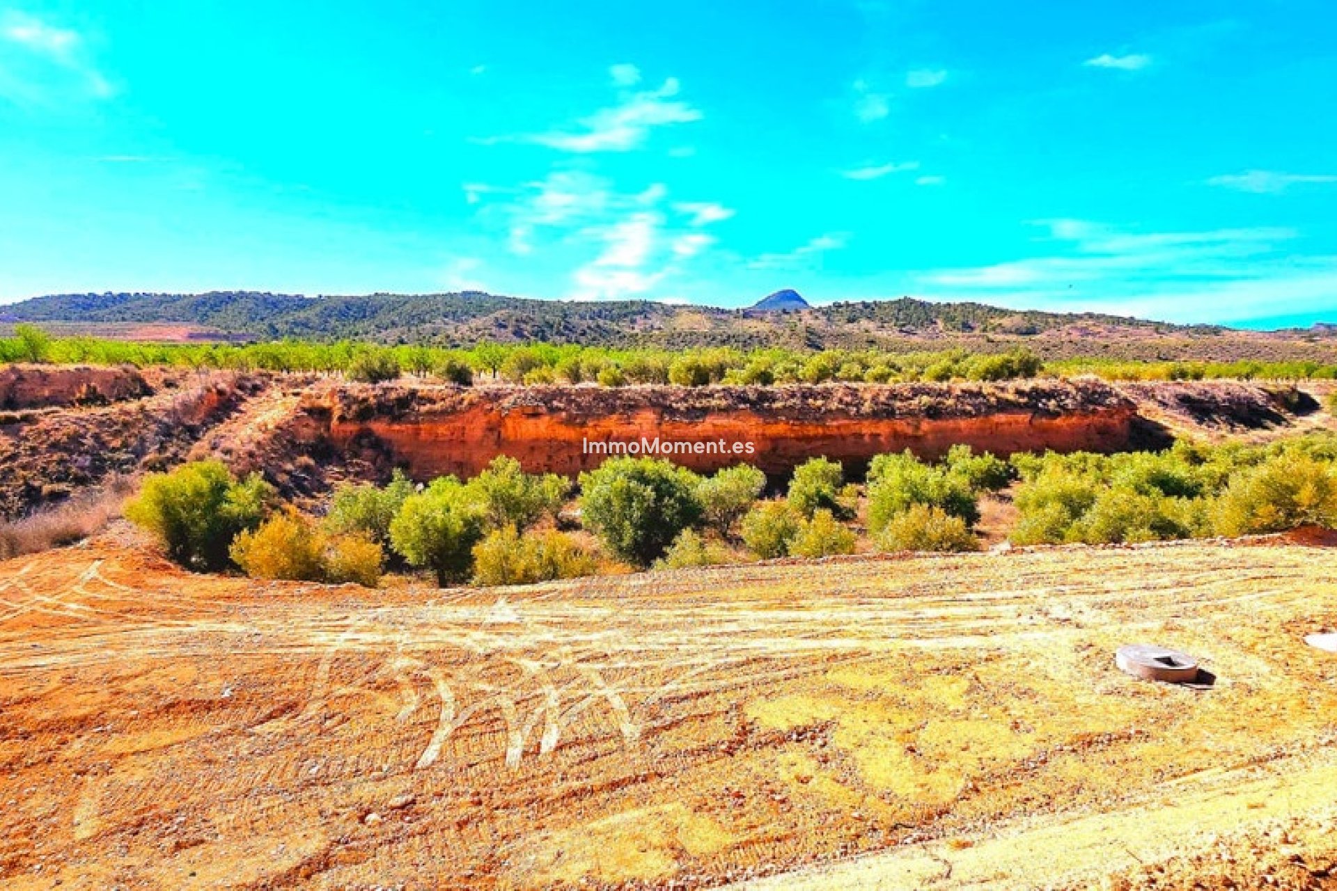 Reventa - Villa - Abanilla - Macisvenda