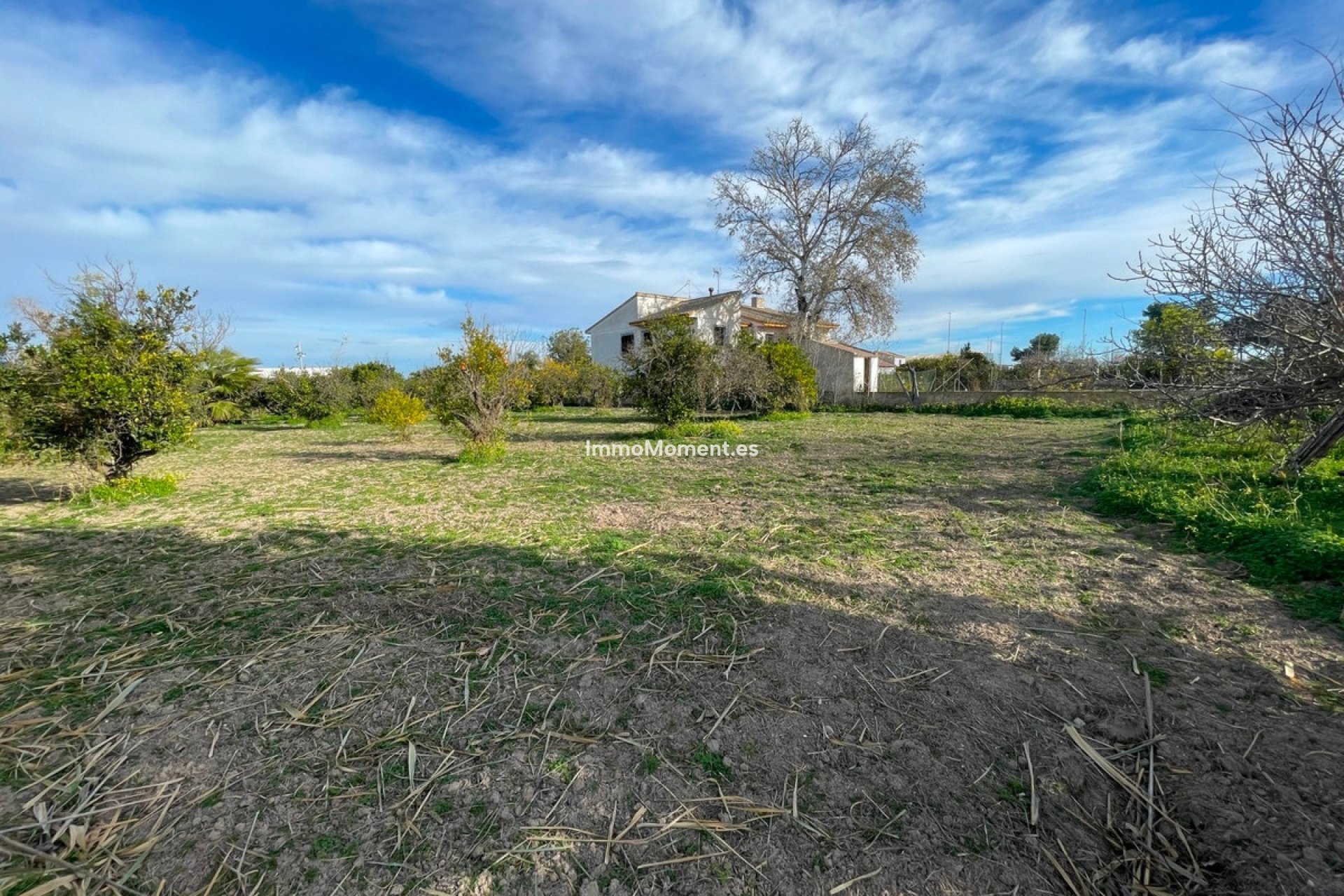 Reventa - Villa - Benejúzar - Benejuzar Centro