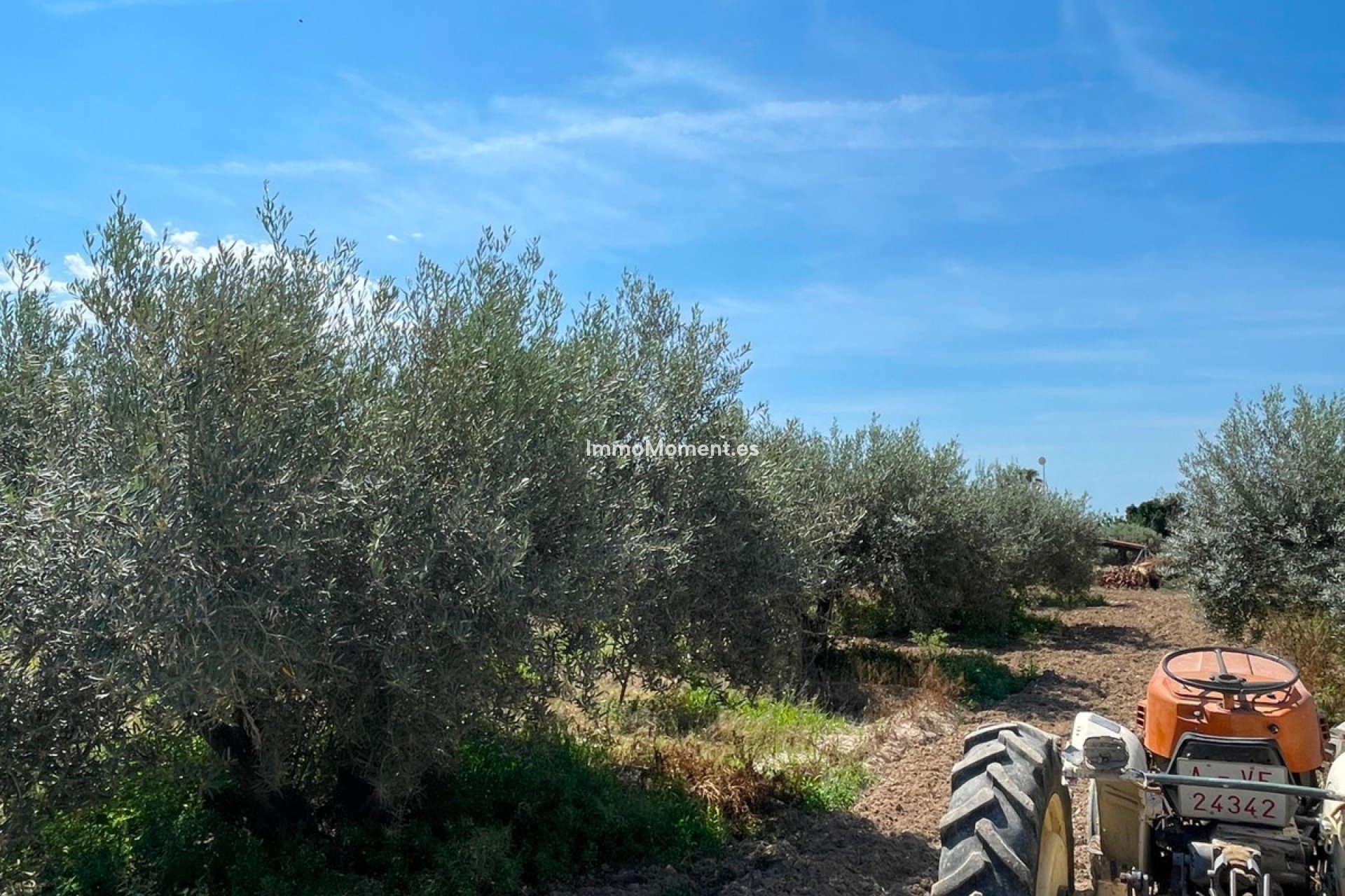 Reventa - Villa - Crevillente - Crevillente - Crevillent Centro