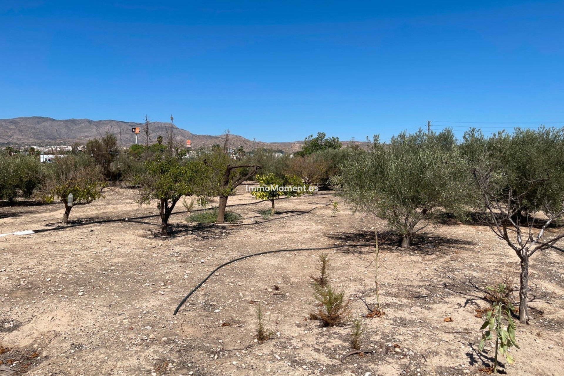 Reventa - Villa - Crevillente - Crevillente - Crevillent Centro