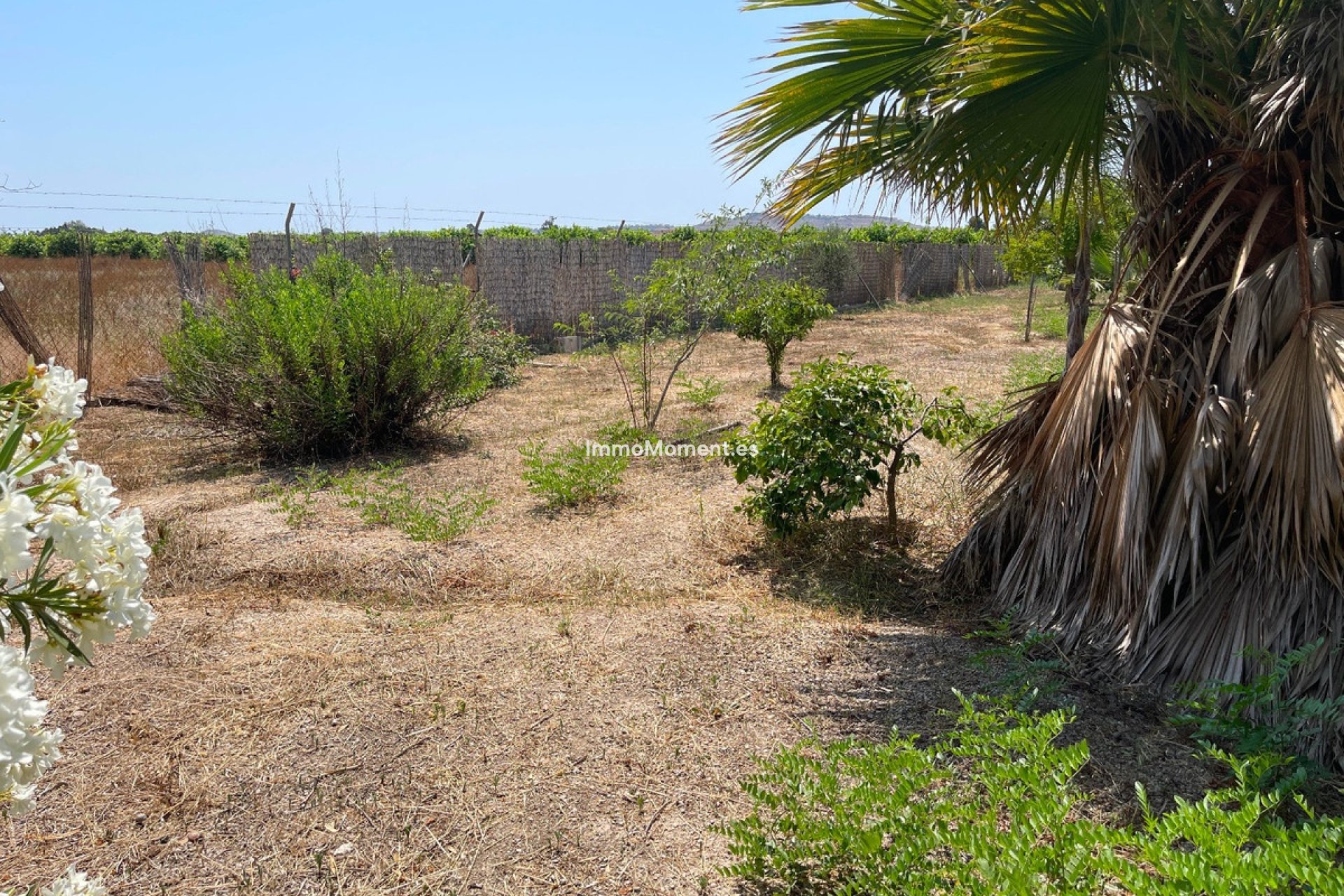 Reventa - Villa - Daya Nueva - Daya Nueva Centro