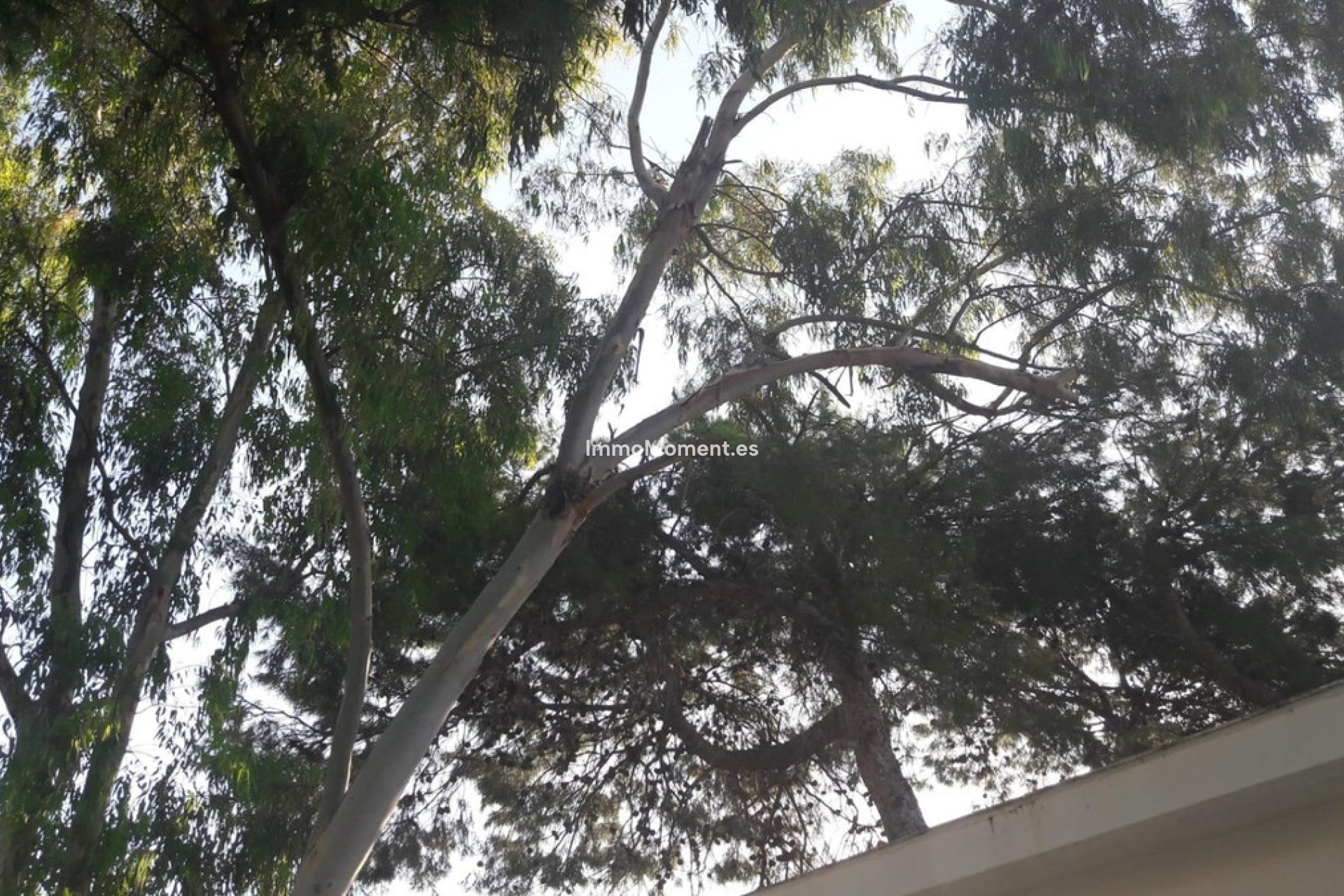 Reventa - Villa - El Campello - Campello - El Campello Centro