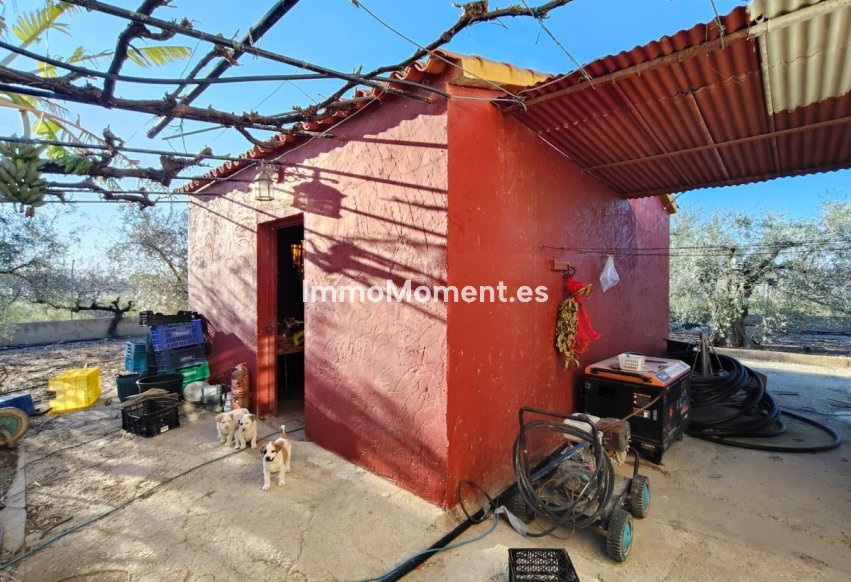 Reventa - Villa - Elche - Las Bayas