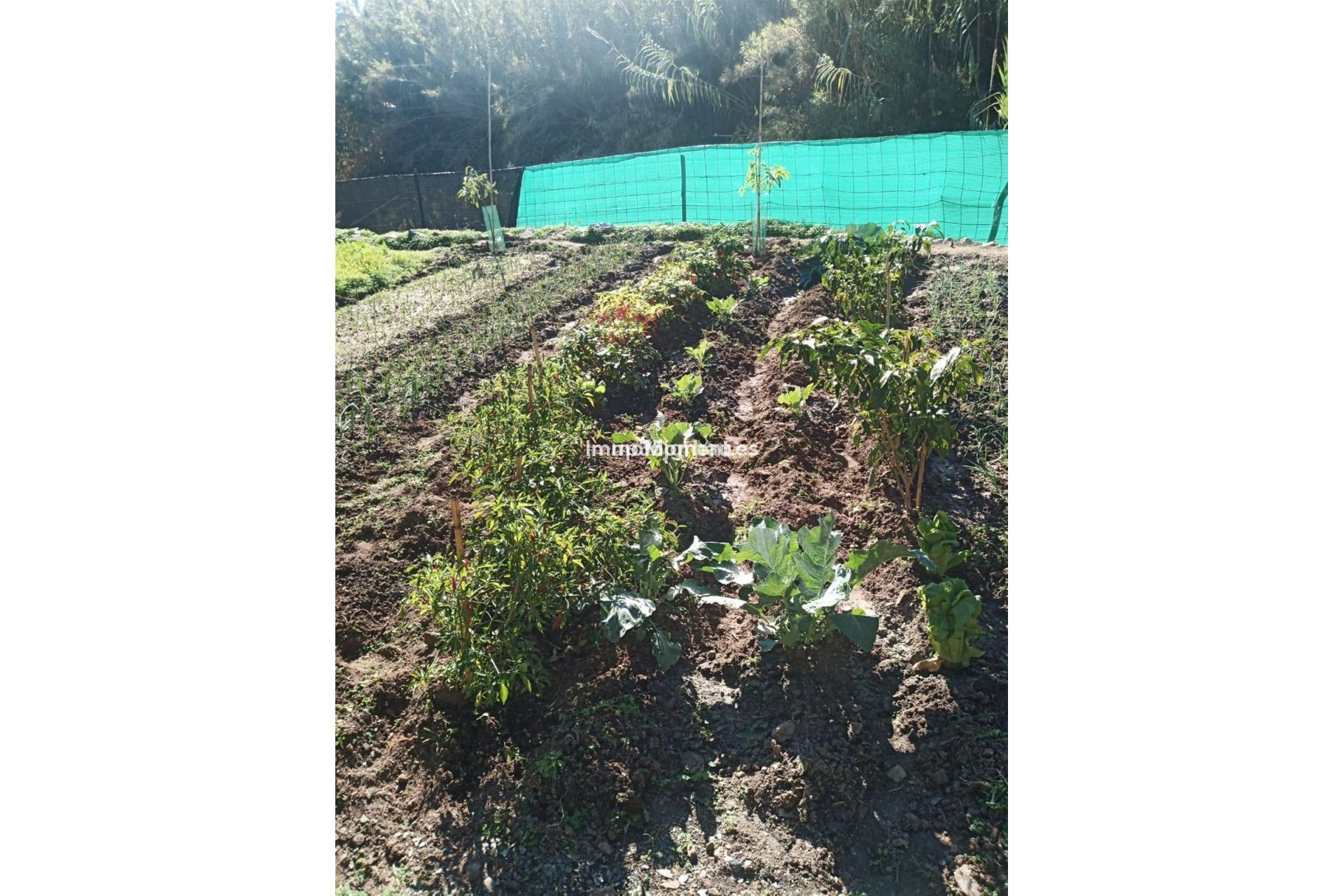 Reventa - Villa - Estepona  - Estepona Centro