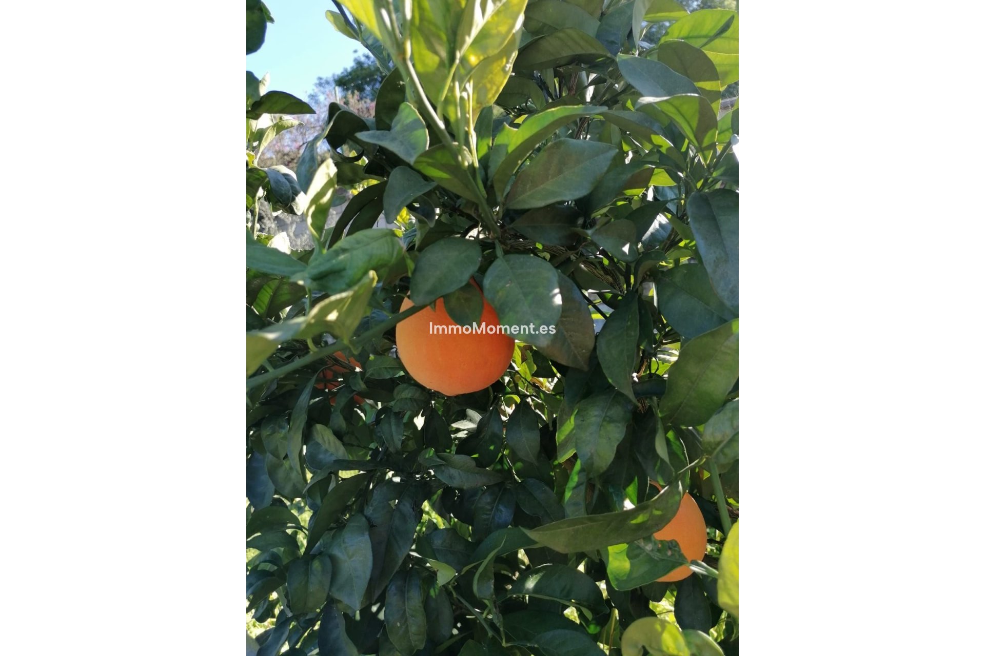 Reventa - Villa - Estepona  - Selwo