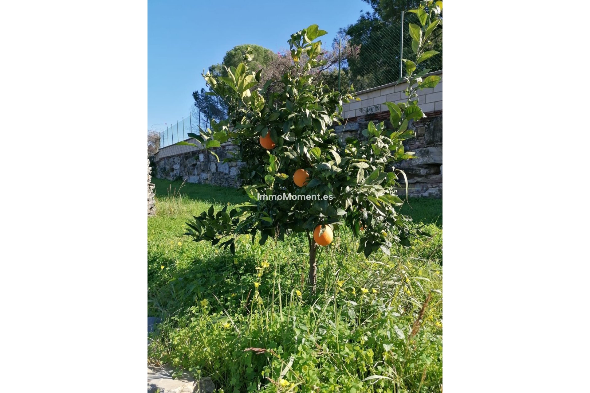 Reventa - Villa - Estepona  - Selwo