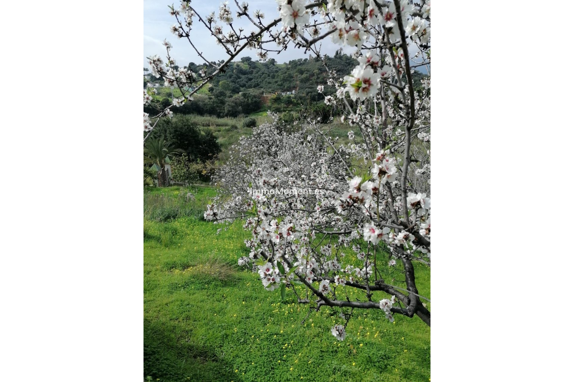 Reventa - Villa - Estepona  - Selwo