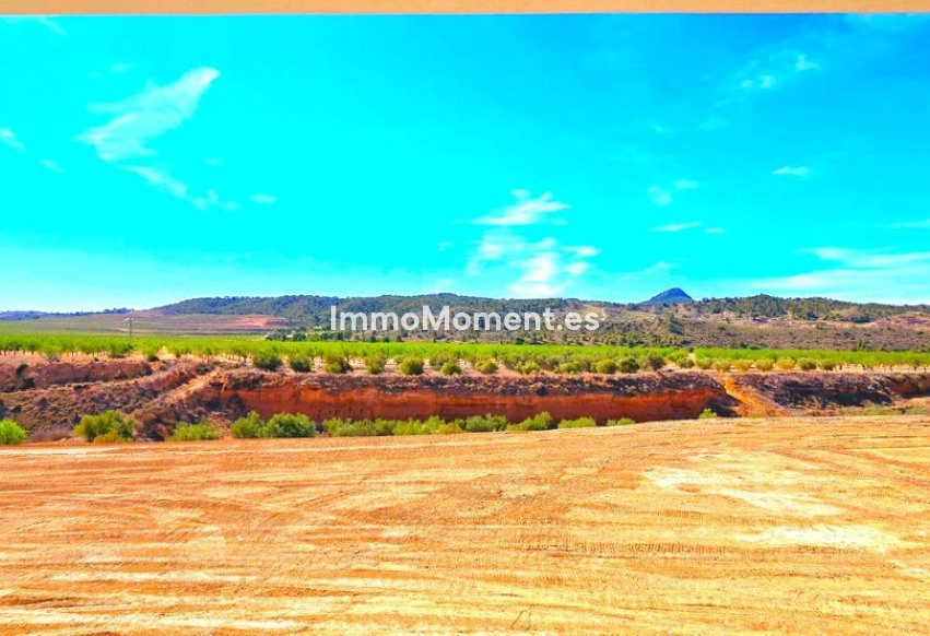 Reventa - Villa independiente - Abanilla - Macisvenda