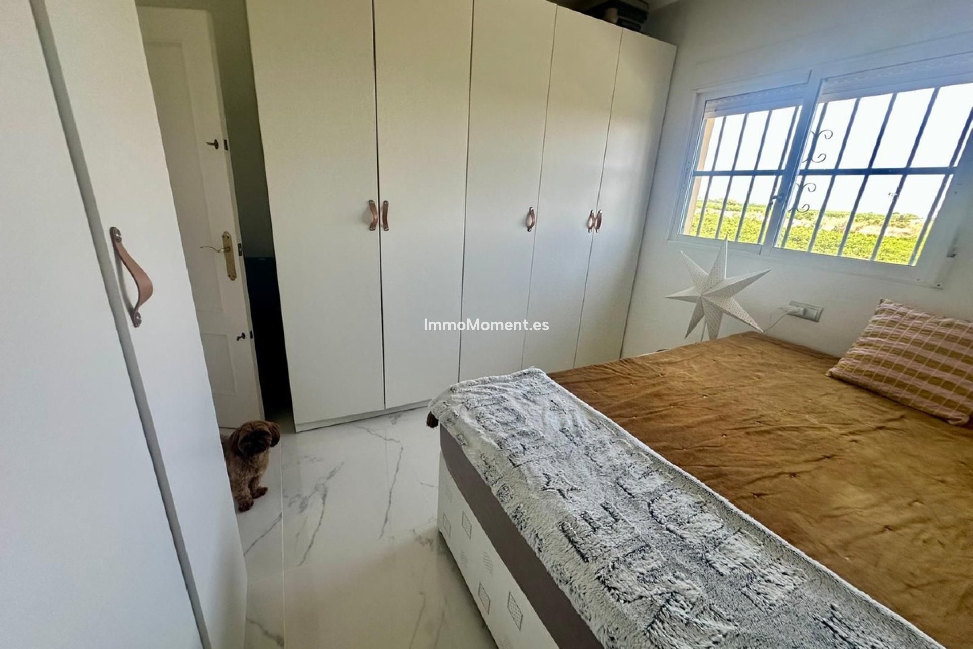 Reventa - Villa independiente - Algorfa - Algorfa Centro