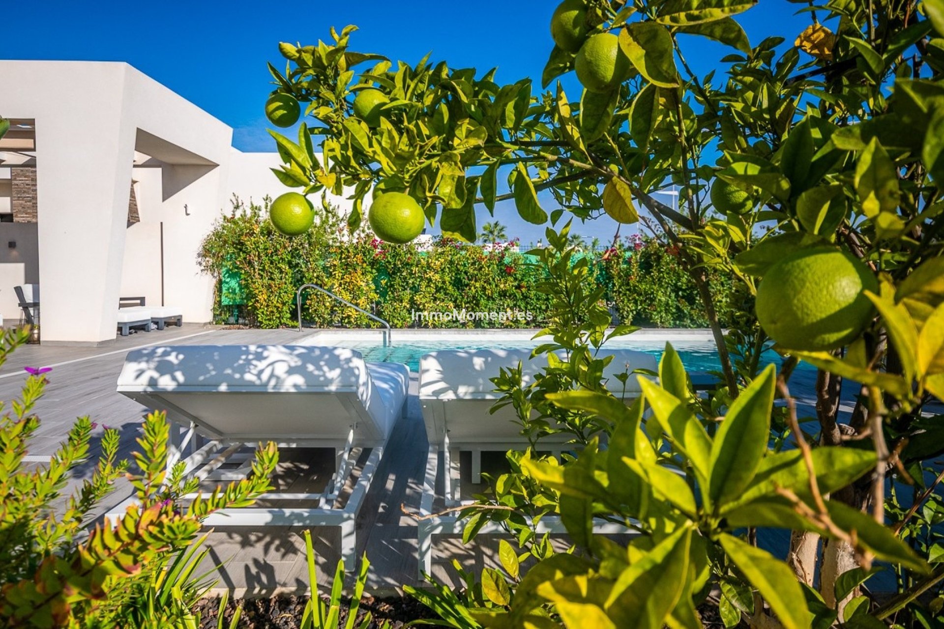 Reventa - Villa independiente - Algorfa - Algorfa Centro