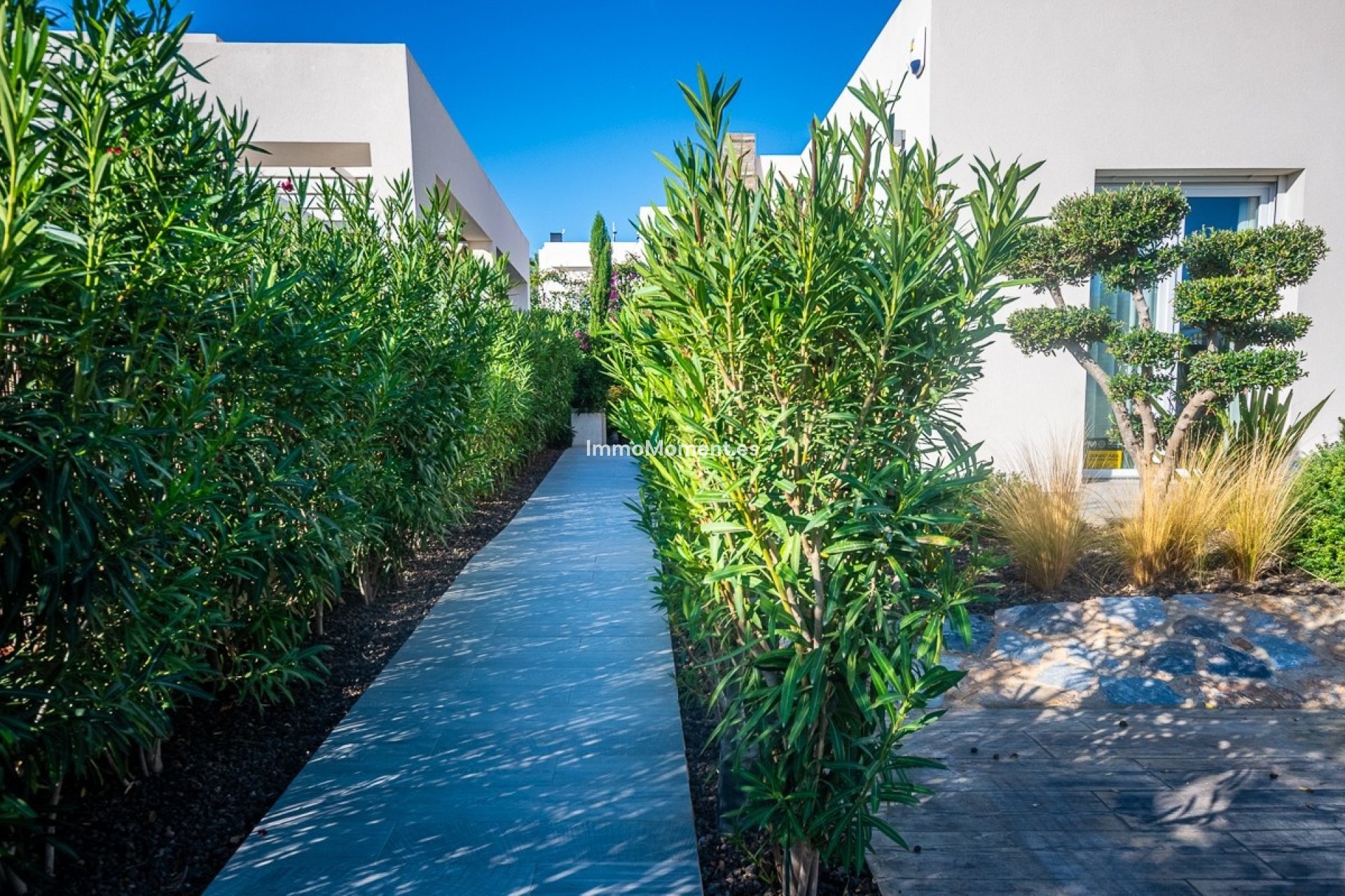 Reventa - Villa independiente - Algorfa - Algorfa Centro