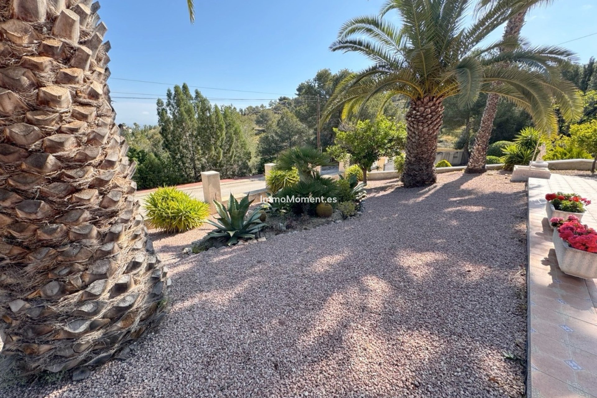 Reventa - Villa independiente - Algorfa - Algorfa Centro