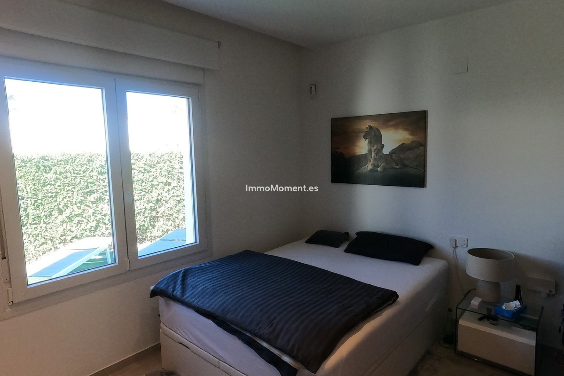 Reventa - Villa independiente - Algorfa - Algorfa Centro