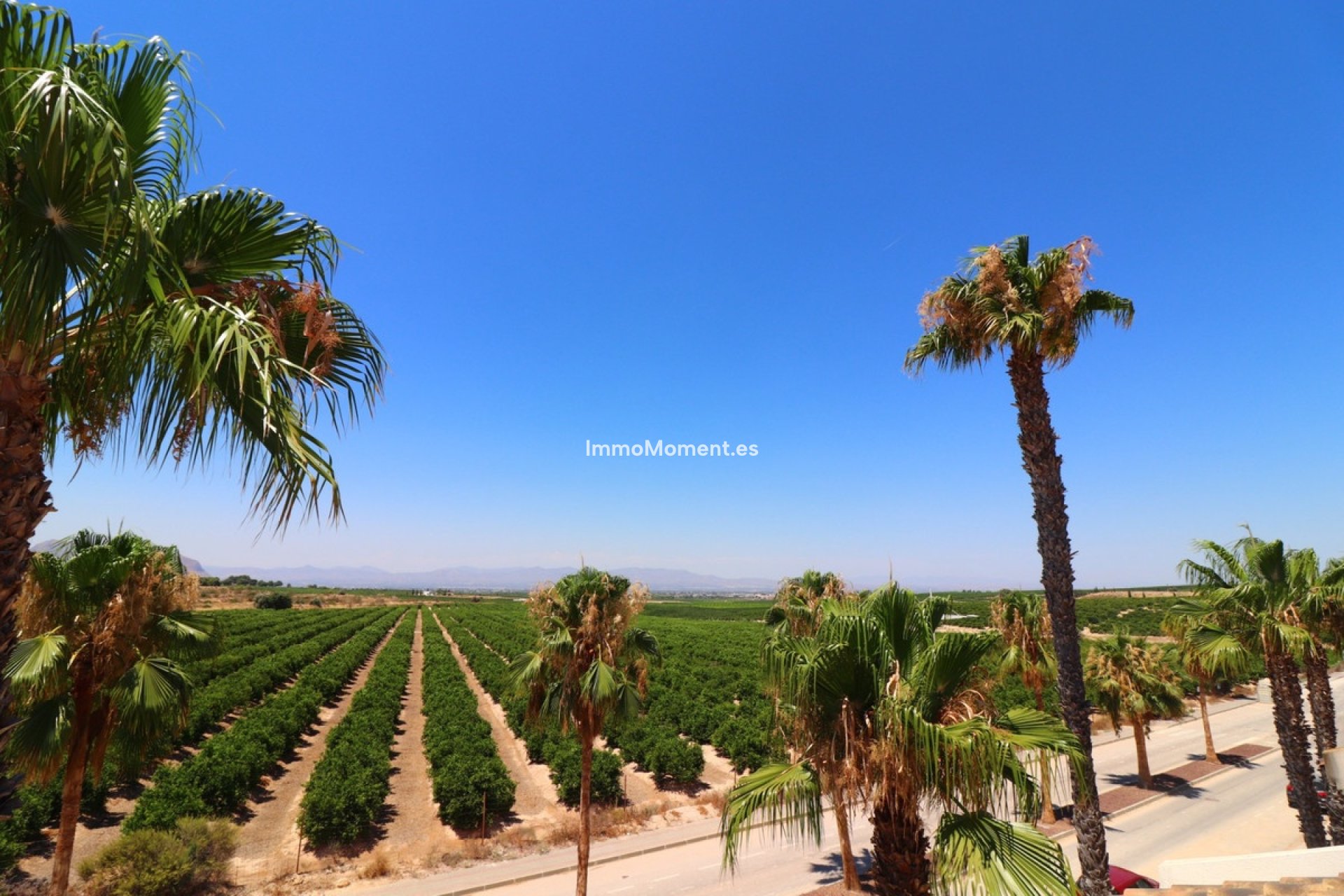 Reventa - Villa independiente - Algorfa - Algorfa Centro