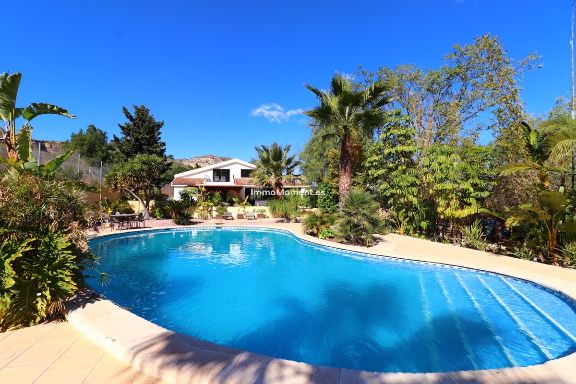 Reventa - Villa independiente - Aspe - Aspe Centro