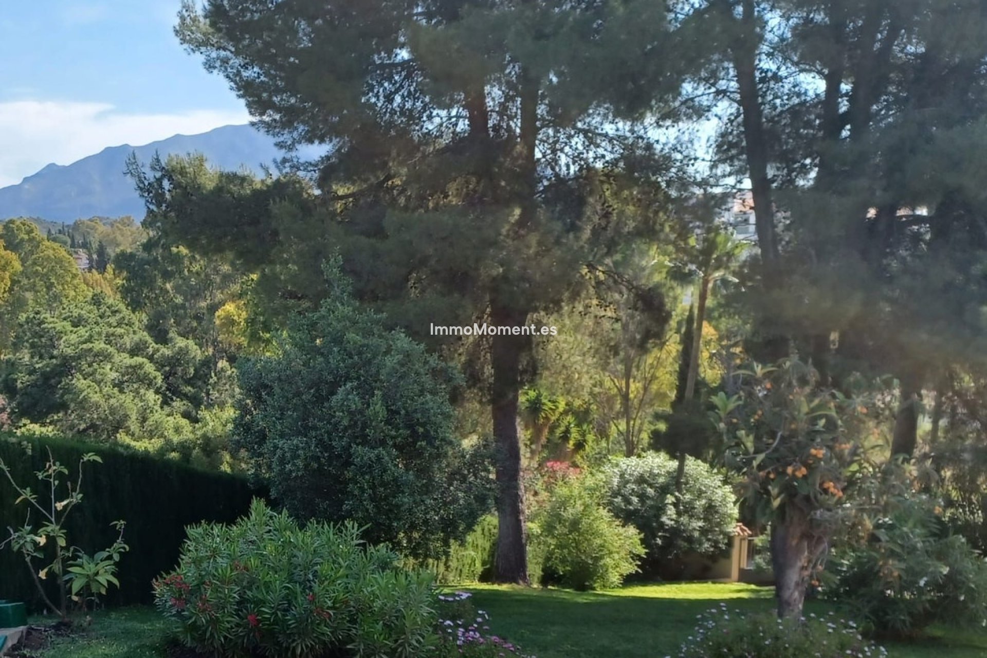 Reventa - Villa independiente - Benahavís - Benahavís Centro
