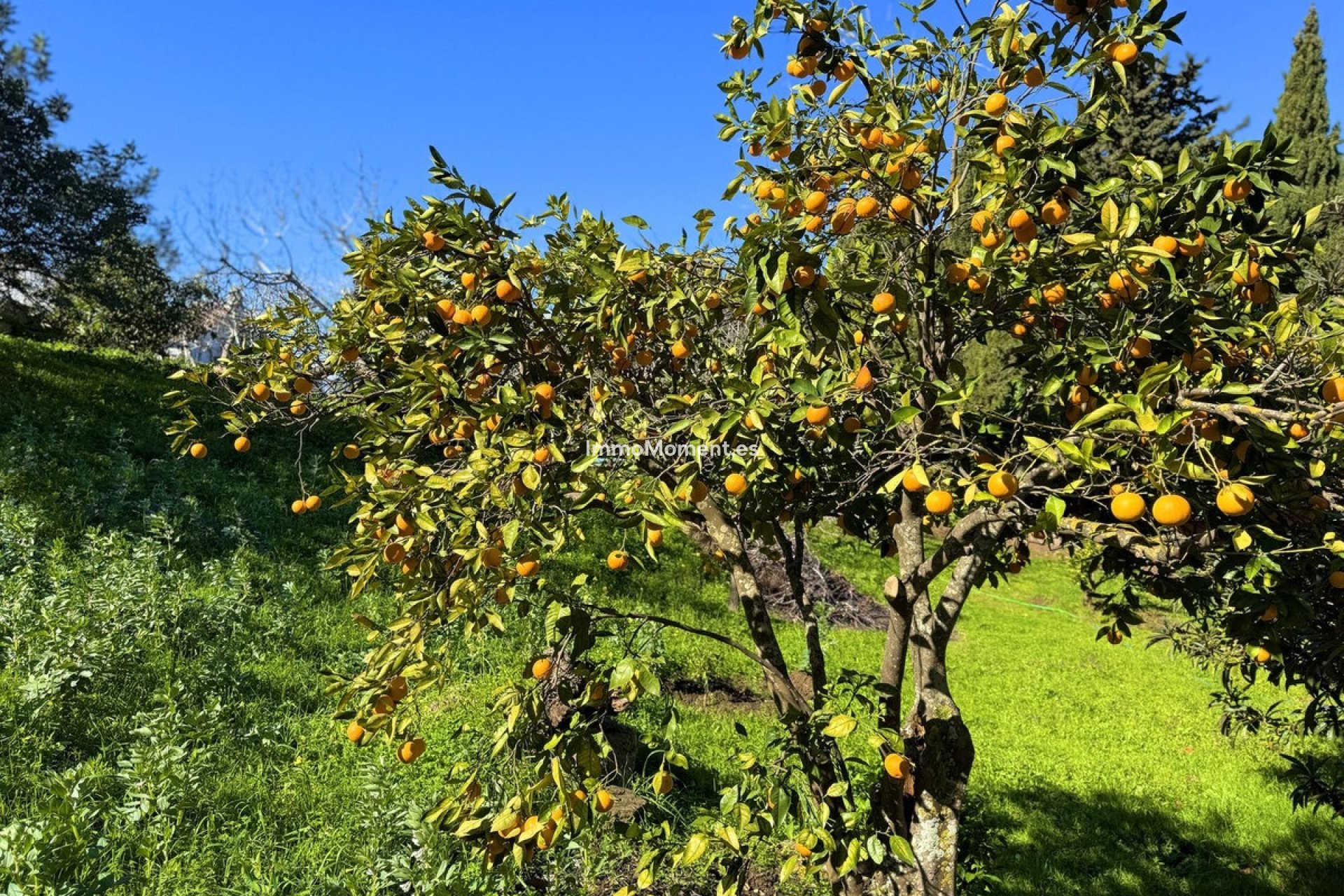 Reventa - Villa independiente - Casares - Casares Centro