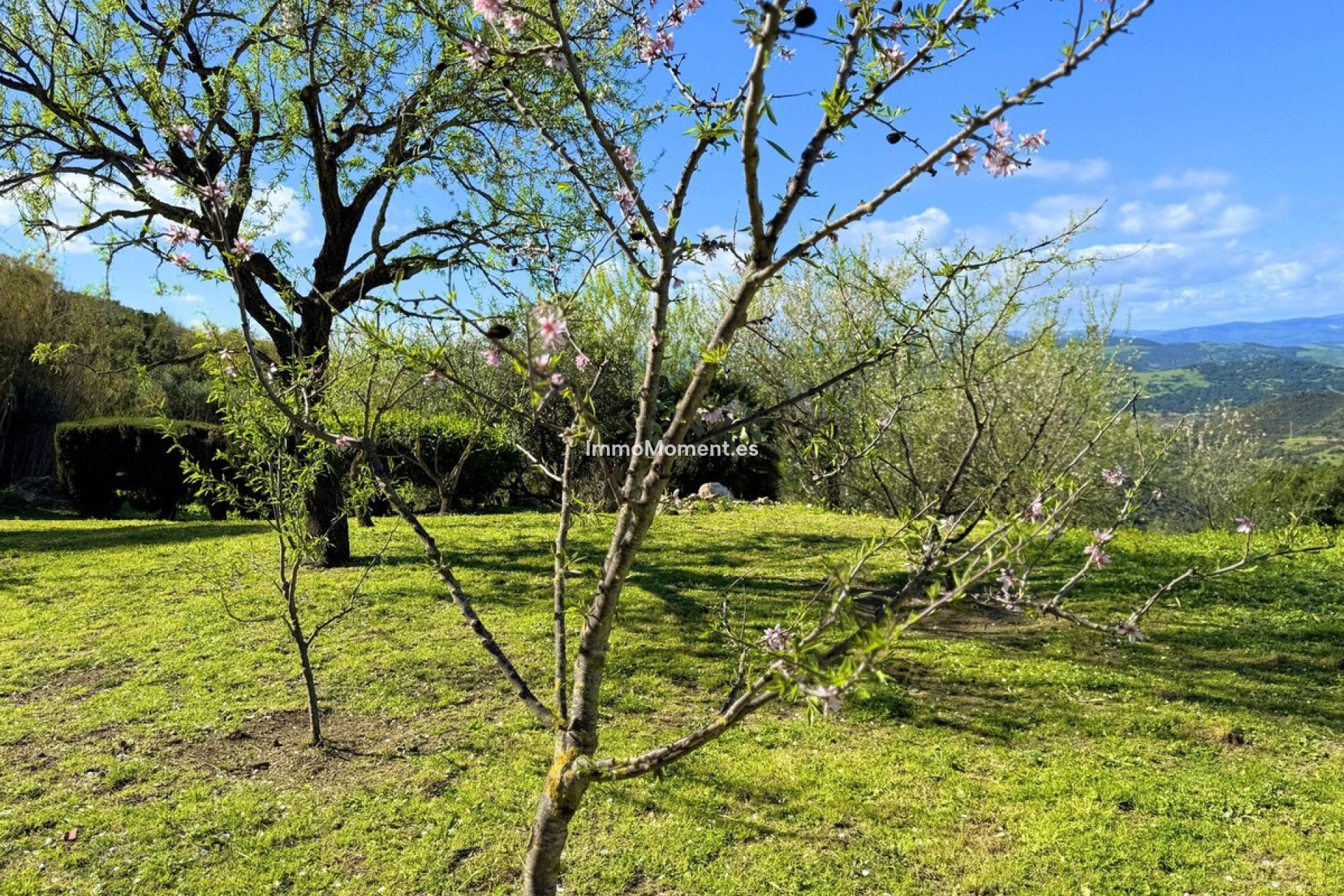 Reventa - Villa independiente - Casares - Casares Centro