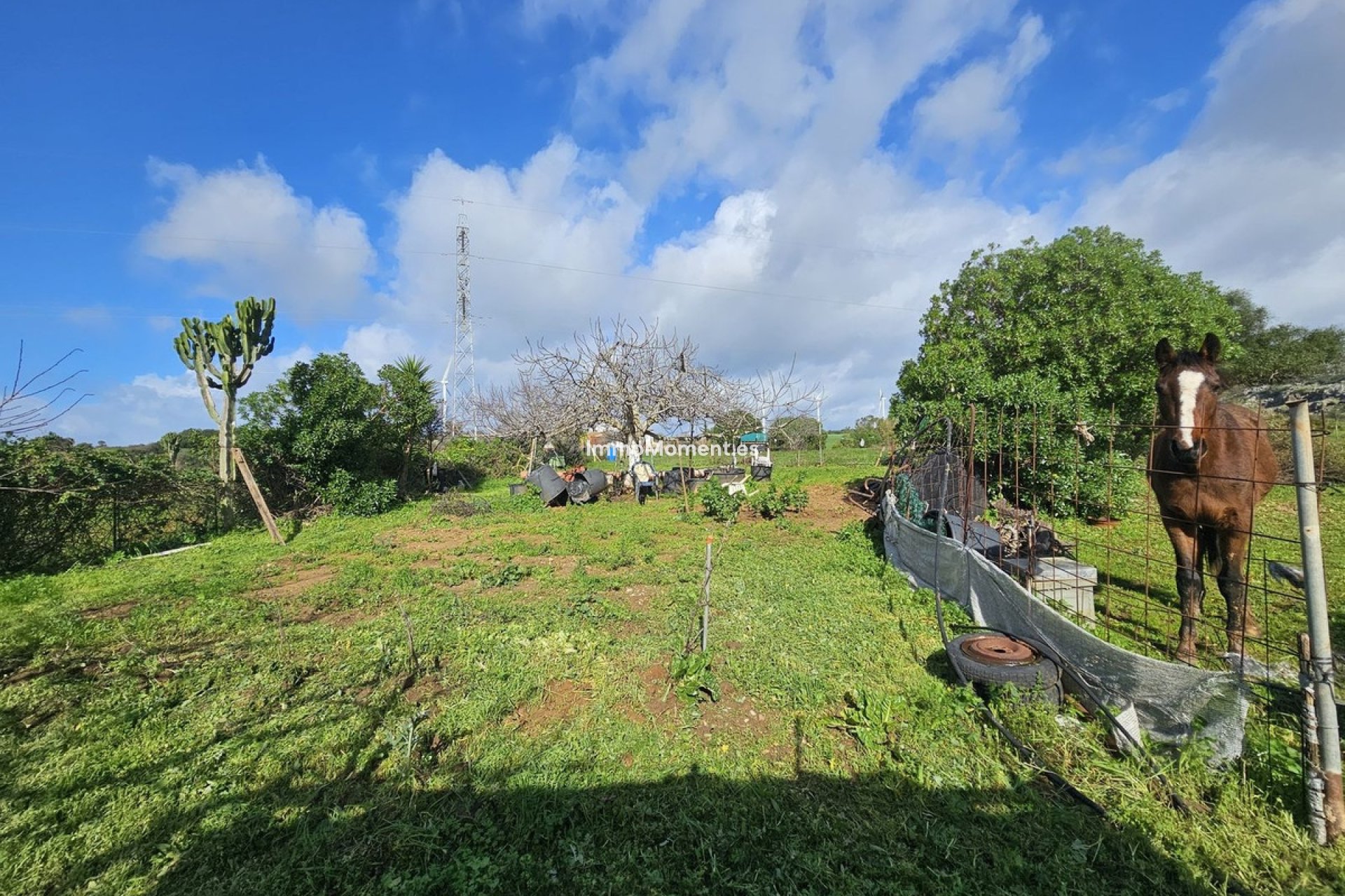 Reventa - Villa independiente - Casares - Casares Centro