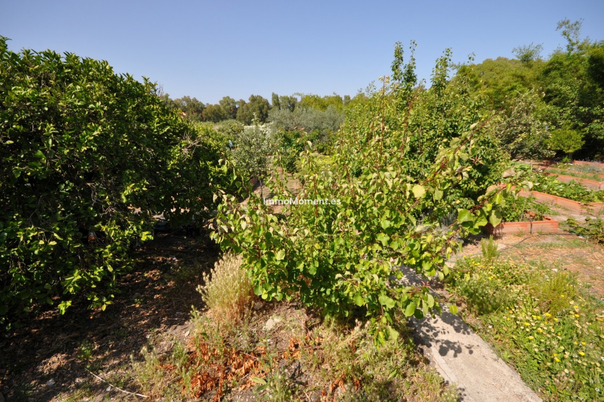 Reventa - Villa independiente - Casares - Casares Playa
