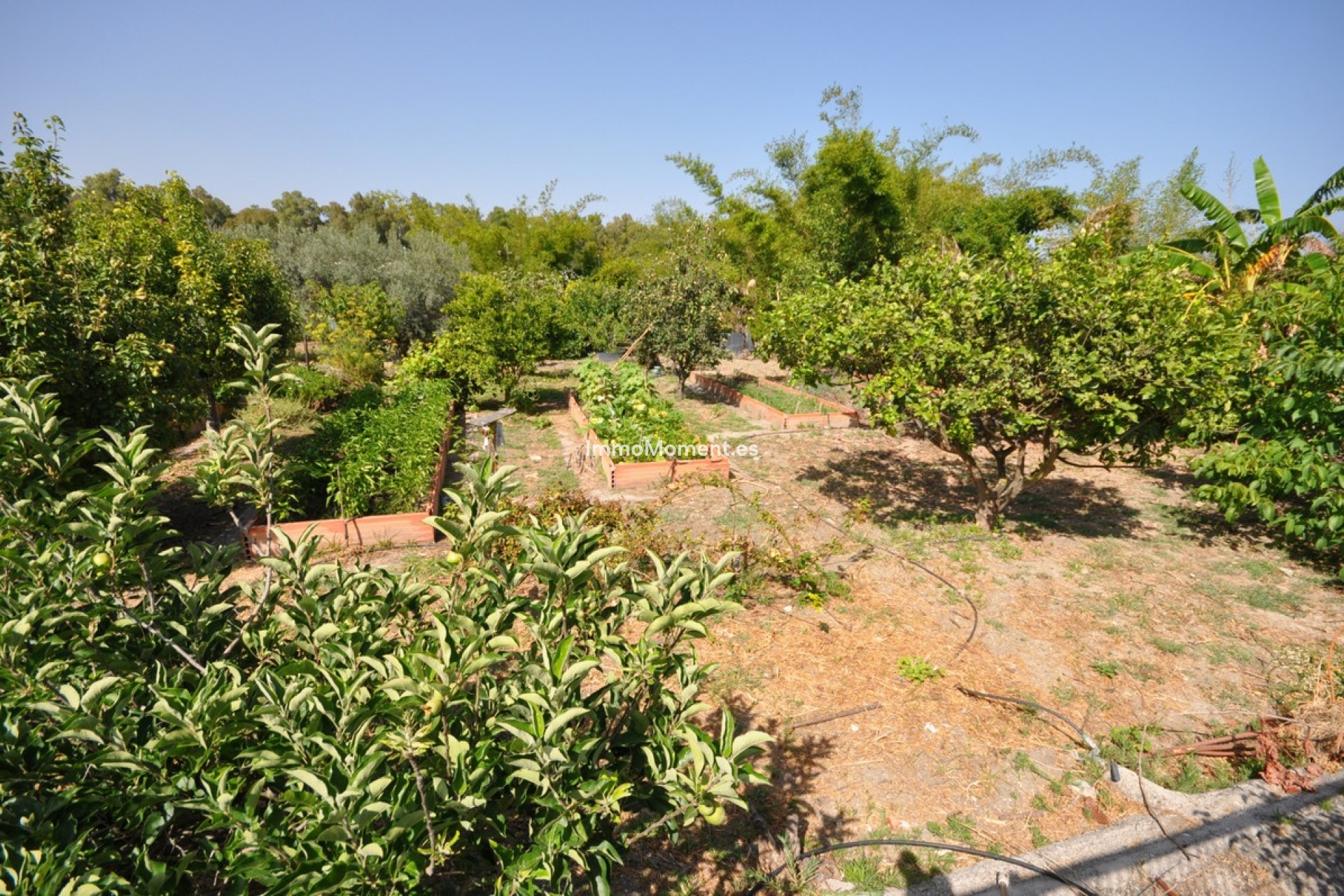 Reventa - Villa independiente - Casares - Casares Playa