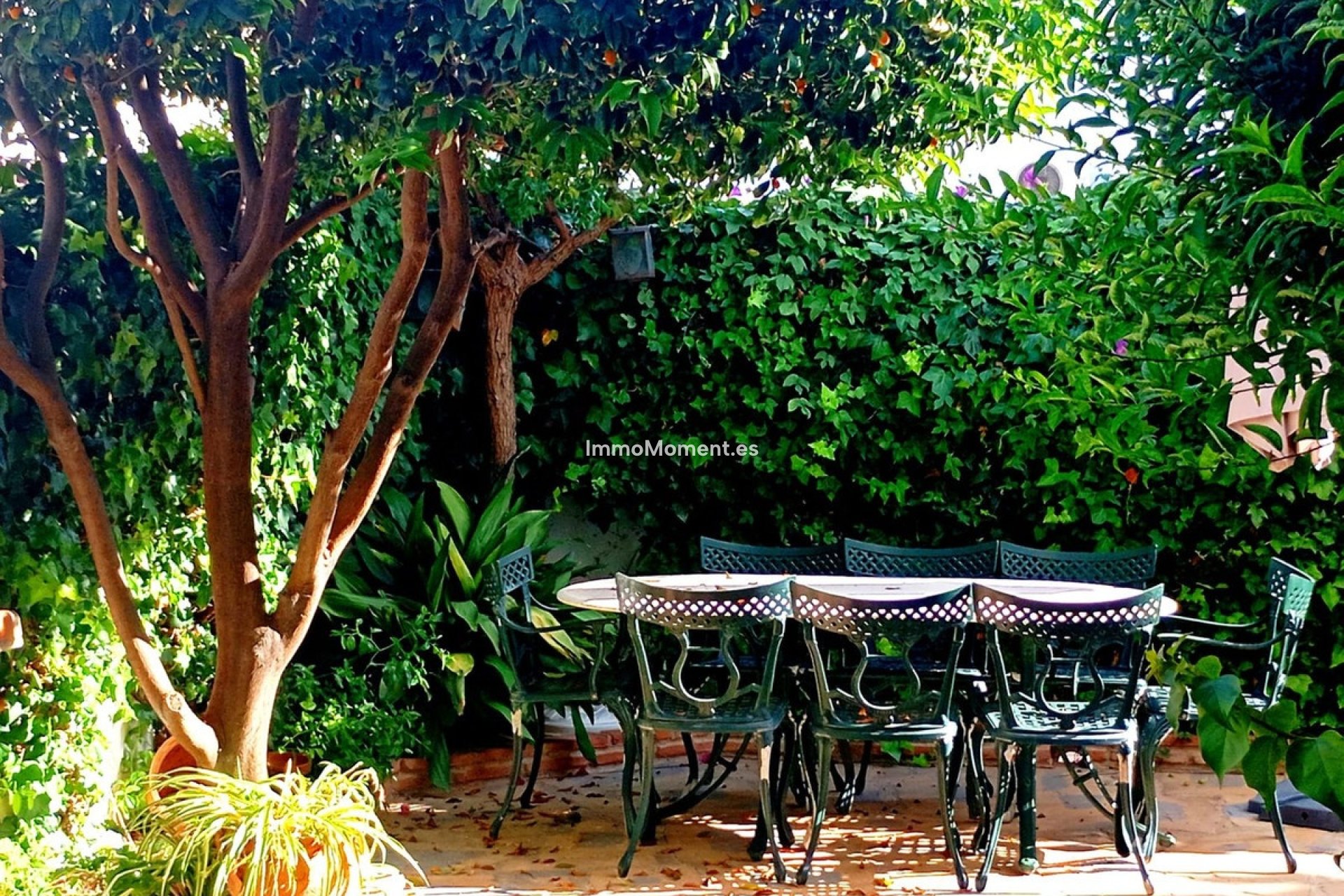 Reventa - Villa independiente - Casares - Casares Playa