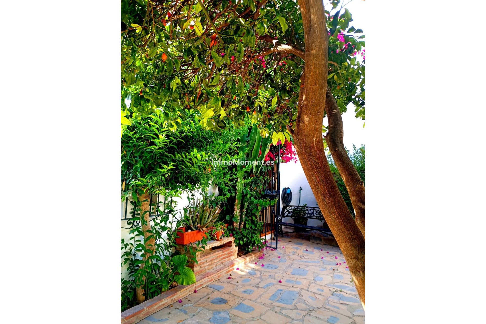Reventa - Villa independiente - Casares - Casares Playa