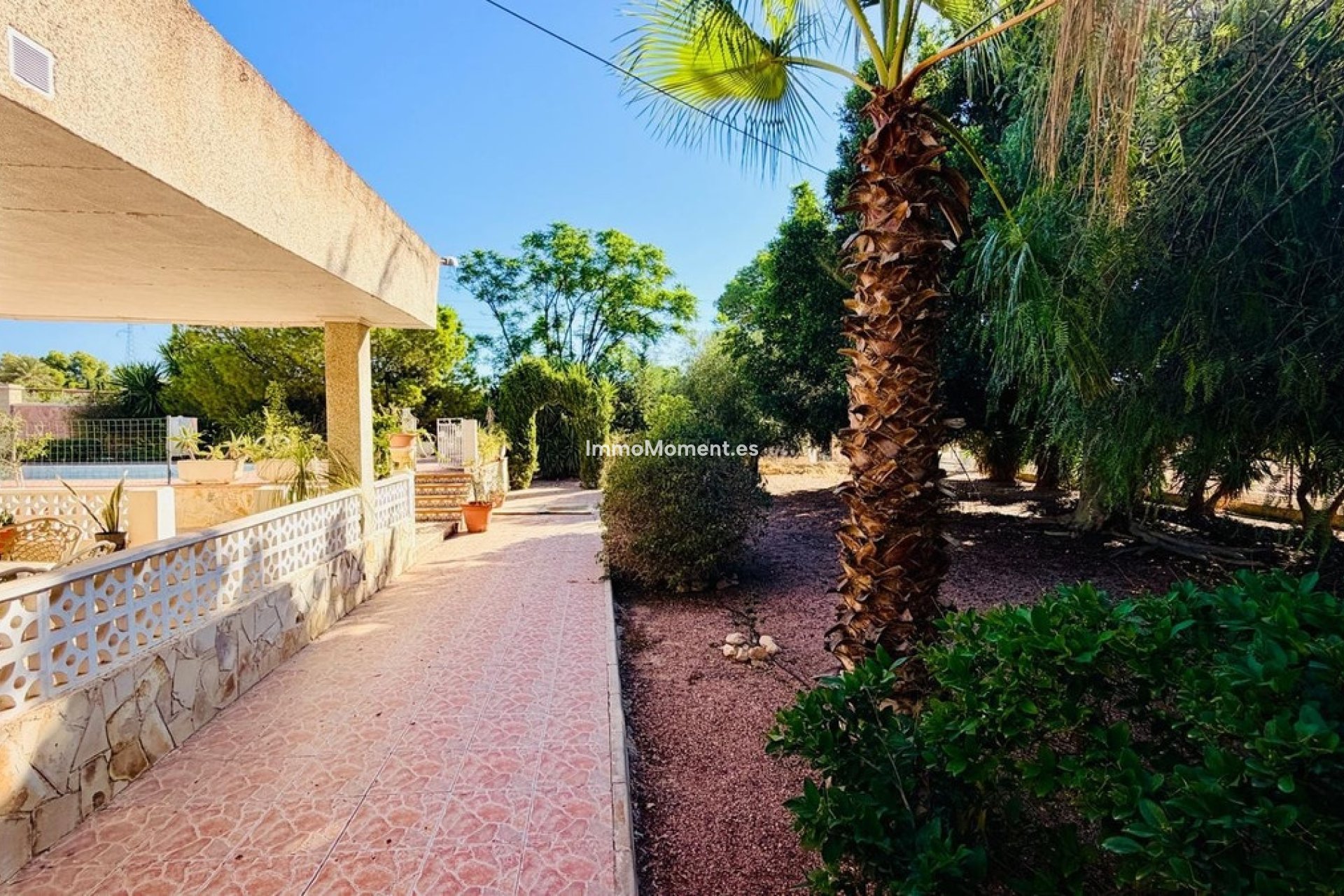 Reventa - Villa independiente - Crevillente - Crevillente - Crevillent Centro