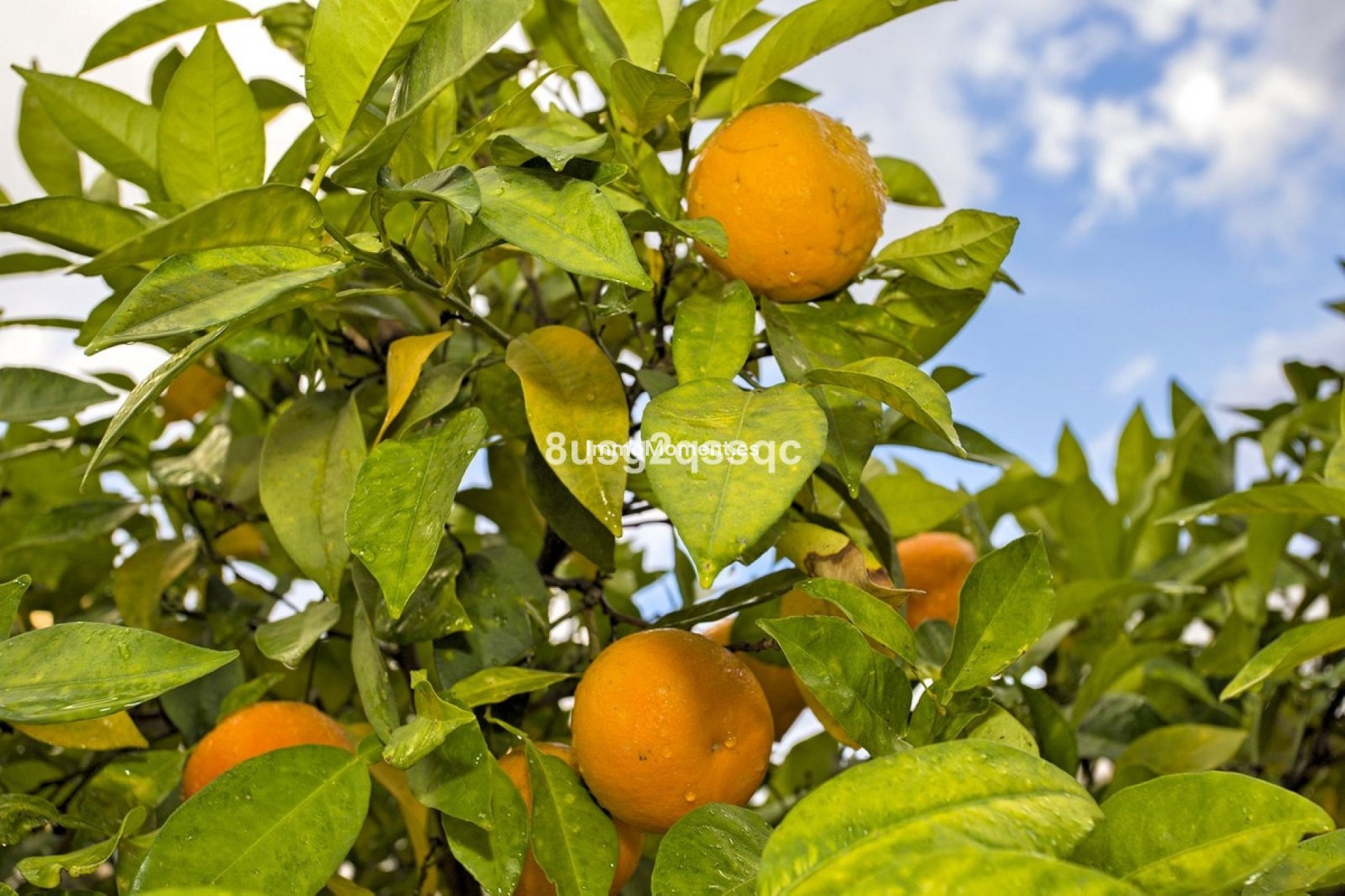 Reventa - Villa independiente - Estepona  - Atalaya