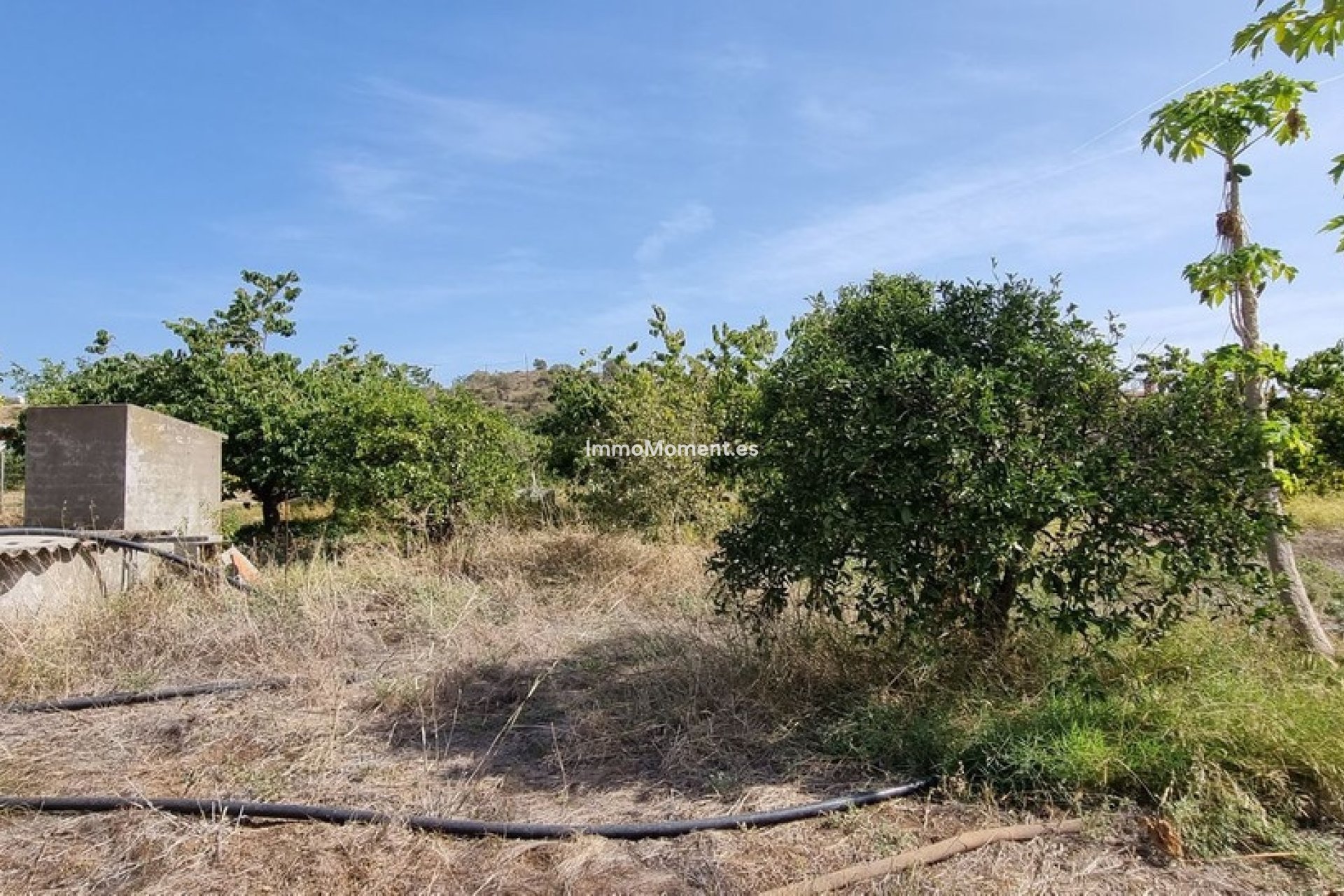 Reventa - Villa independiente - Estepona  - Estepona Centro