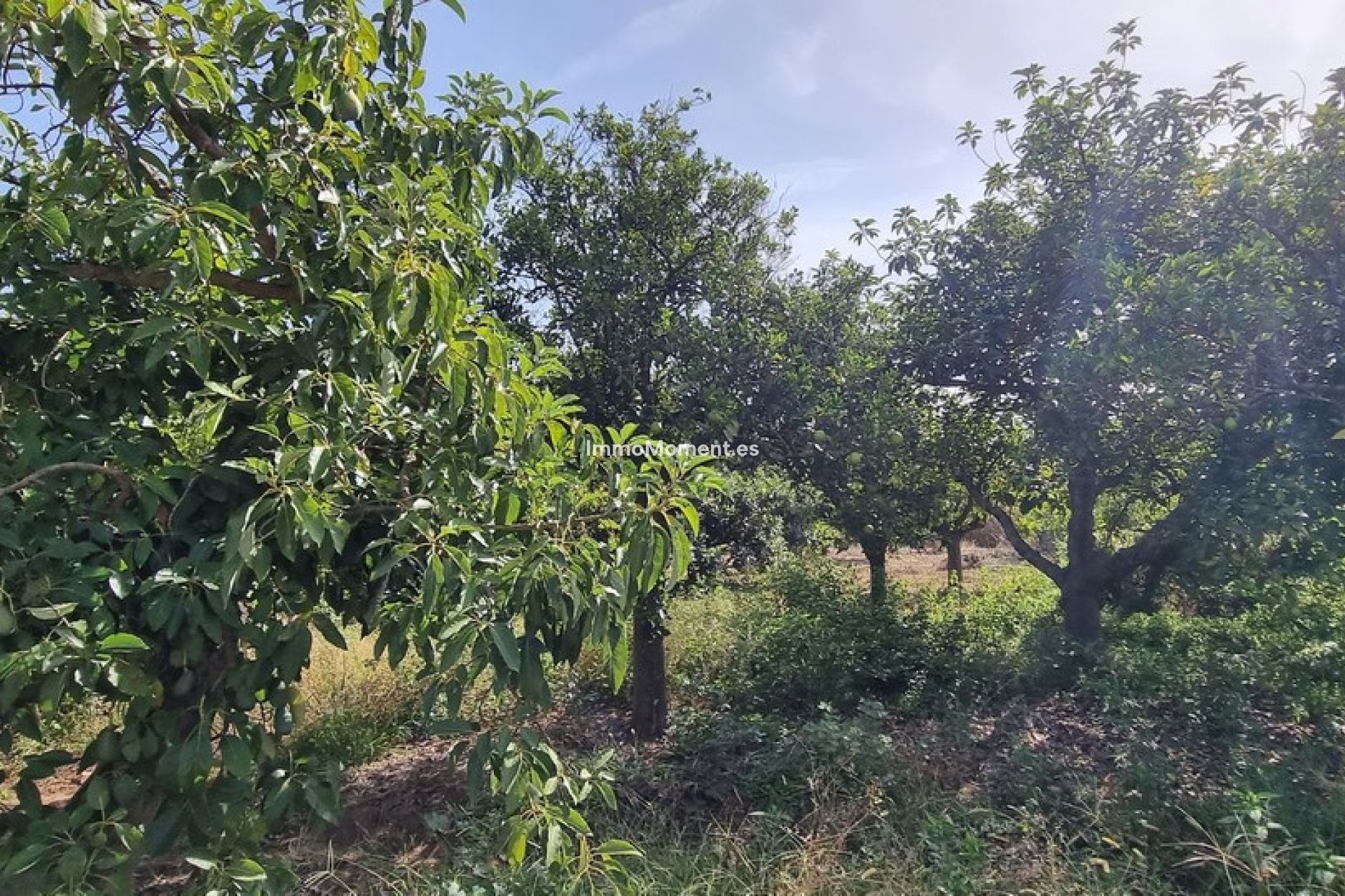 Reventa - Villa independiente - Estepona  - Estepona Centro