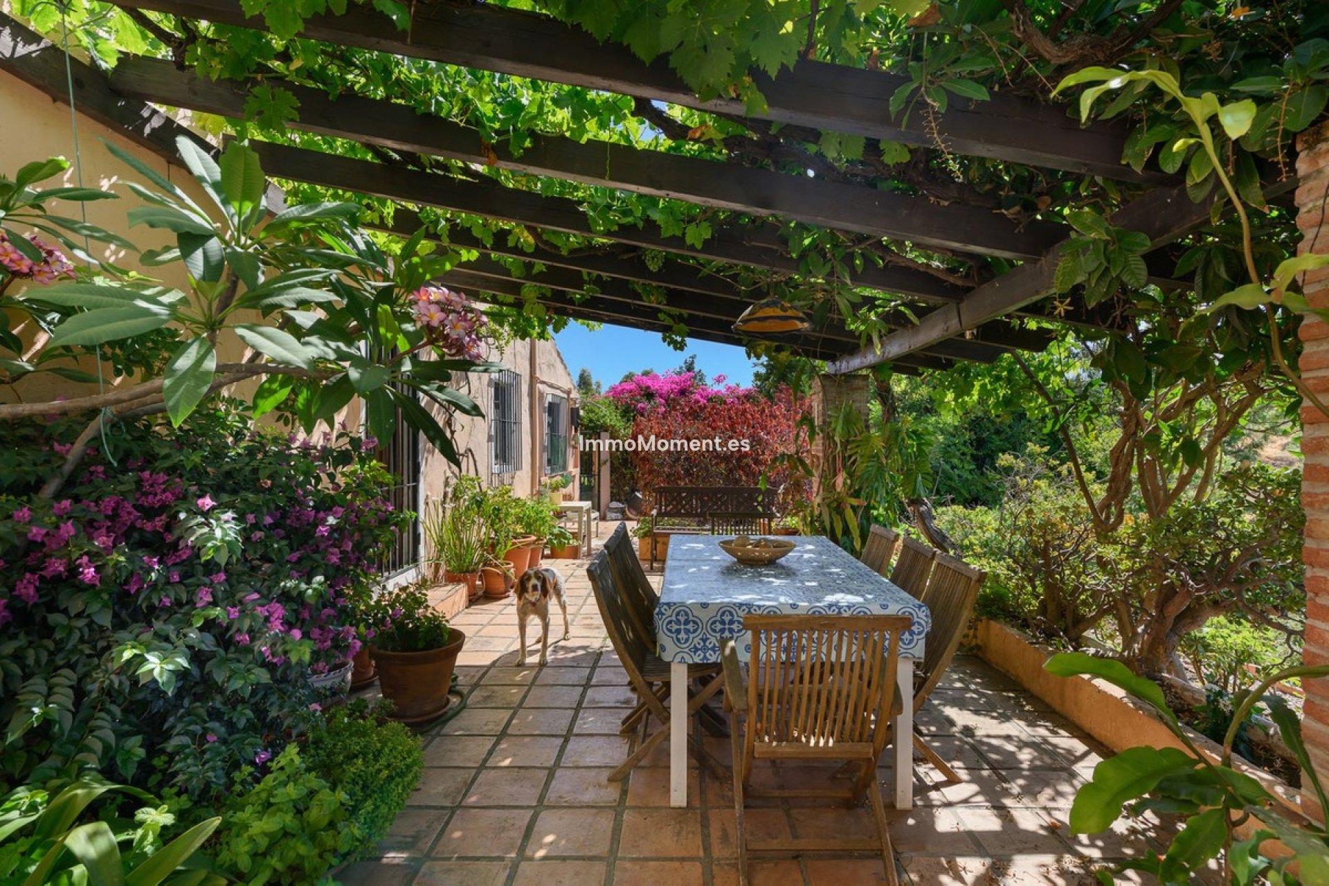 Reventa - Villa independiente - Estepona  - Estepona Centro