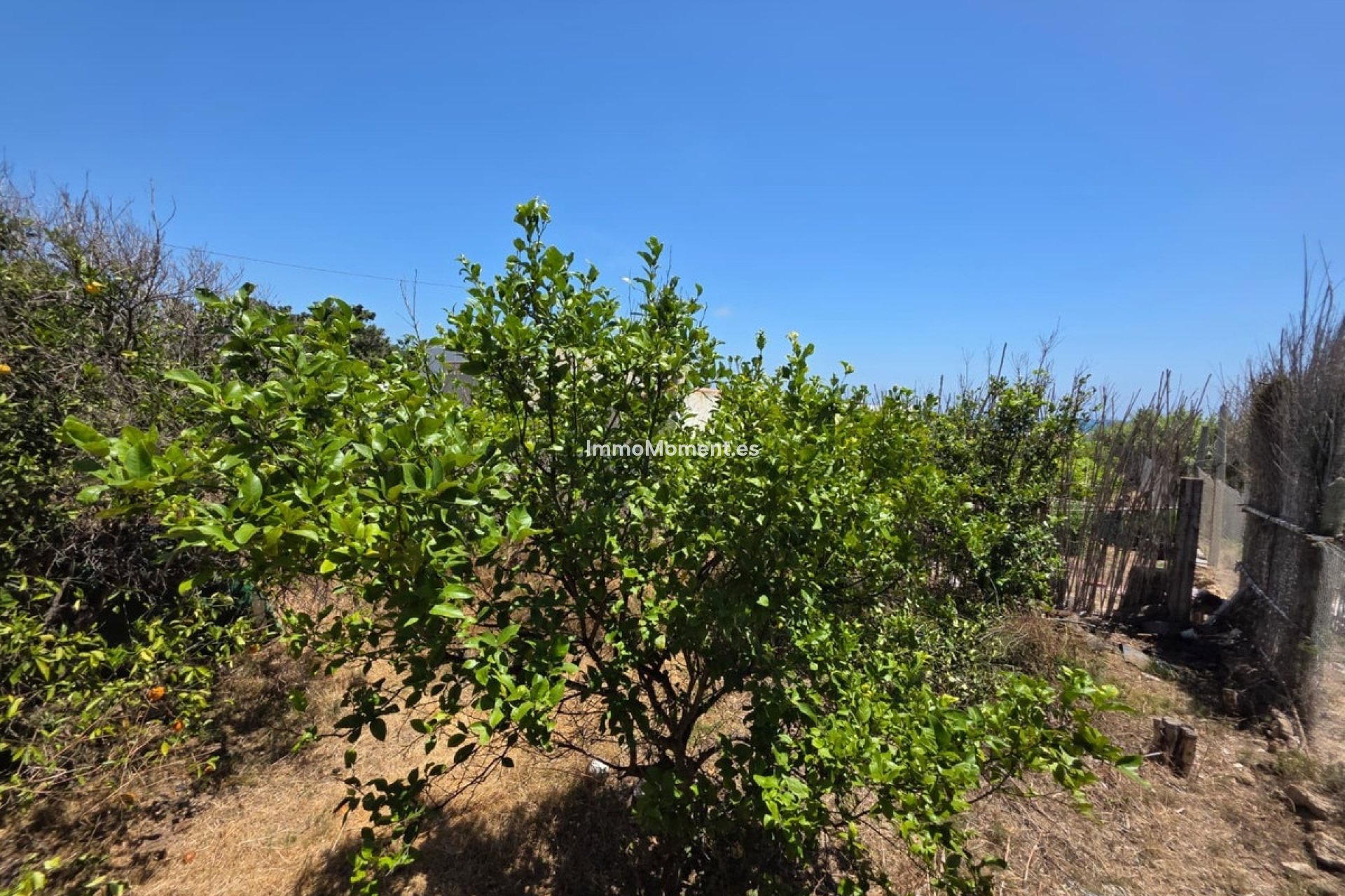 Reventa - Villa independiente - Guardamar del Segura - Guardamar del Segura Centro