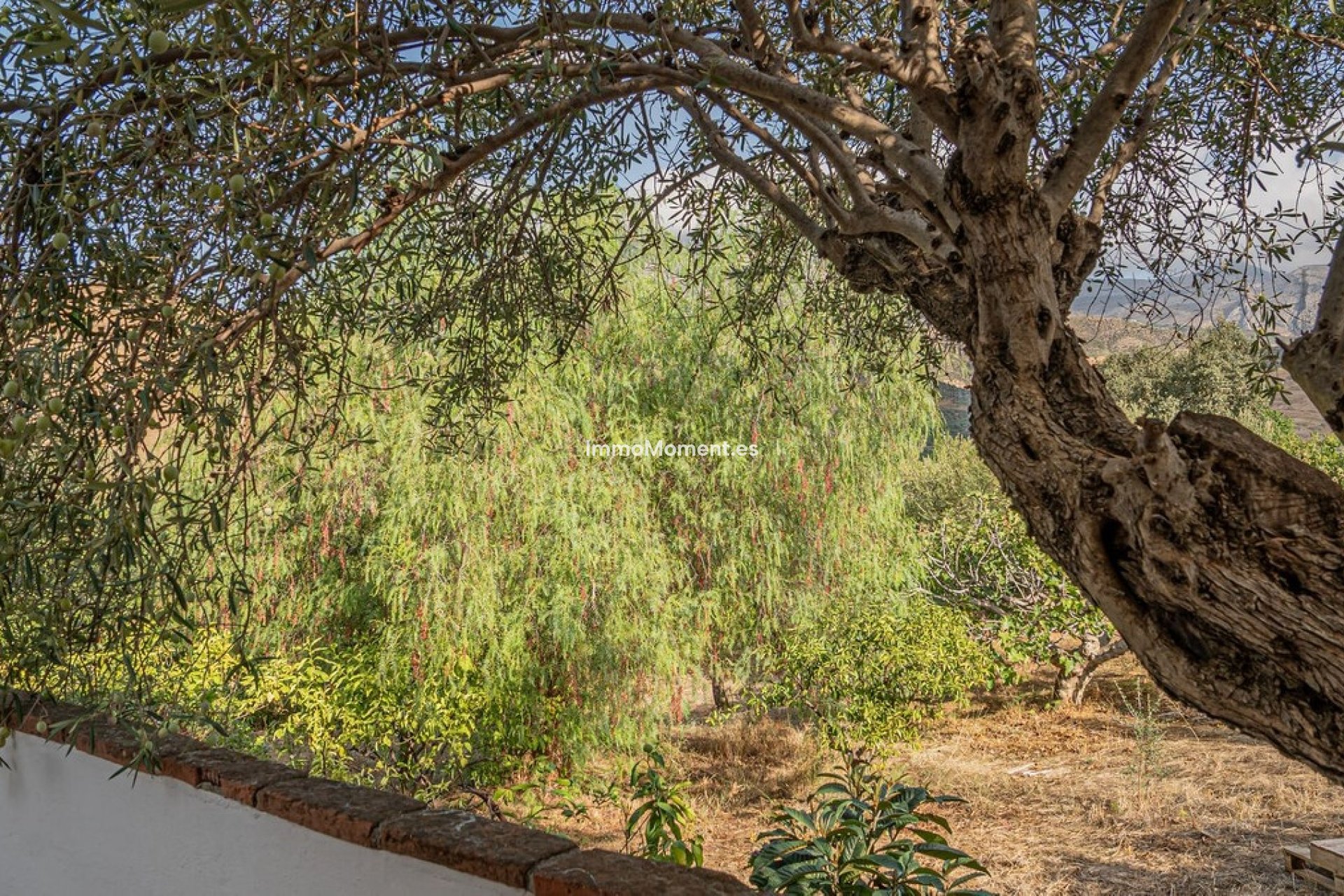 Reventa - Villa independiente - Interior  - Alora