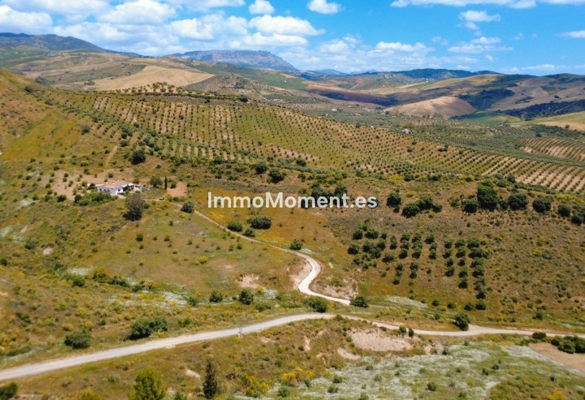 Reventa - Villa independiente - Interior  - Alora