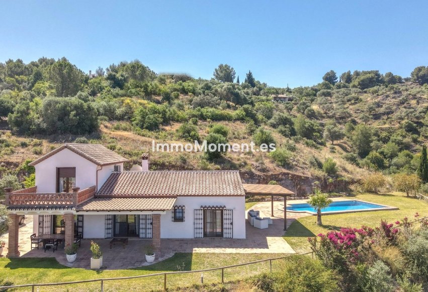 Reventa - Villa independiente - Interior  - Guaro