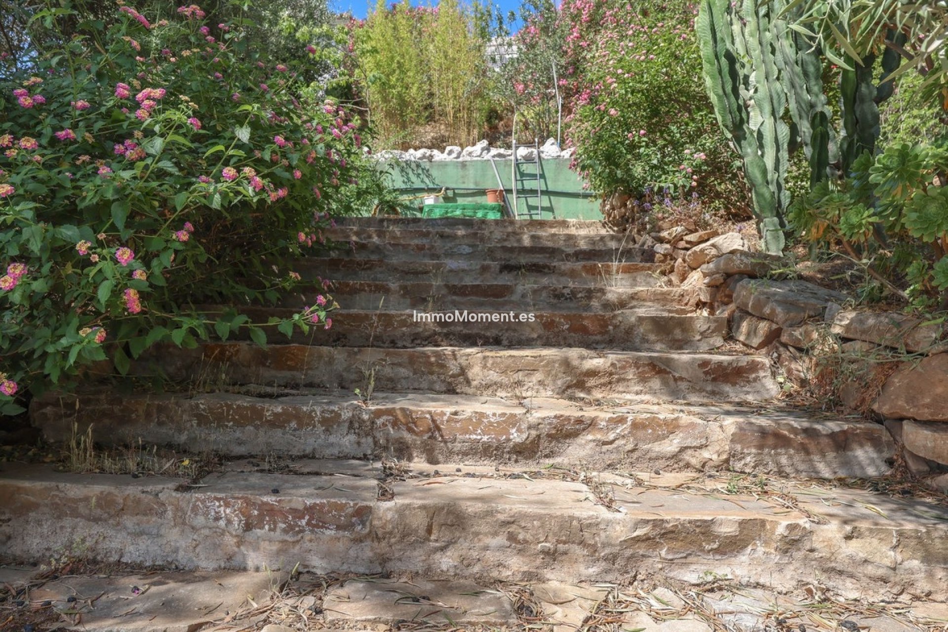 Reventa - Villa independiente - Interior  - Monda