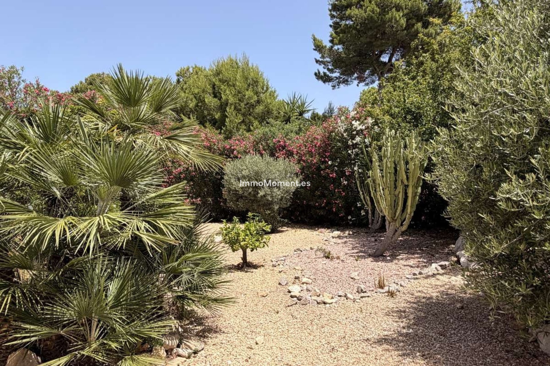 Reventa - Villa independiente - Jávea - Jávea - Xàbia Centro