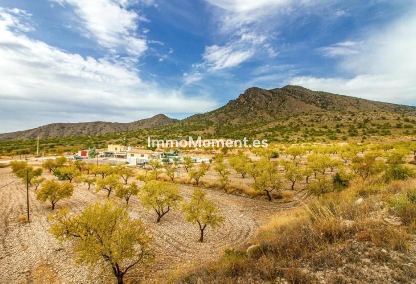Reventa - Villa independiente - Jumilla - Jumilla Centro