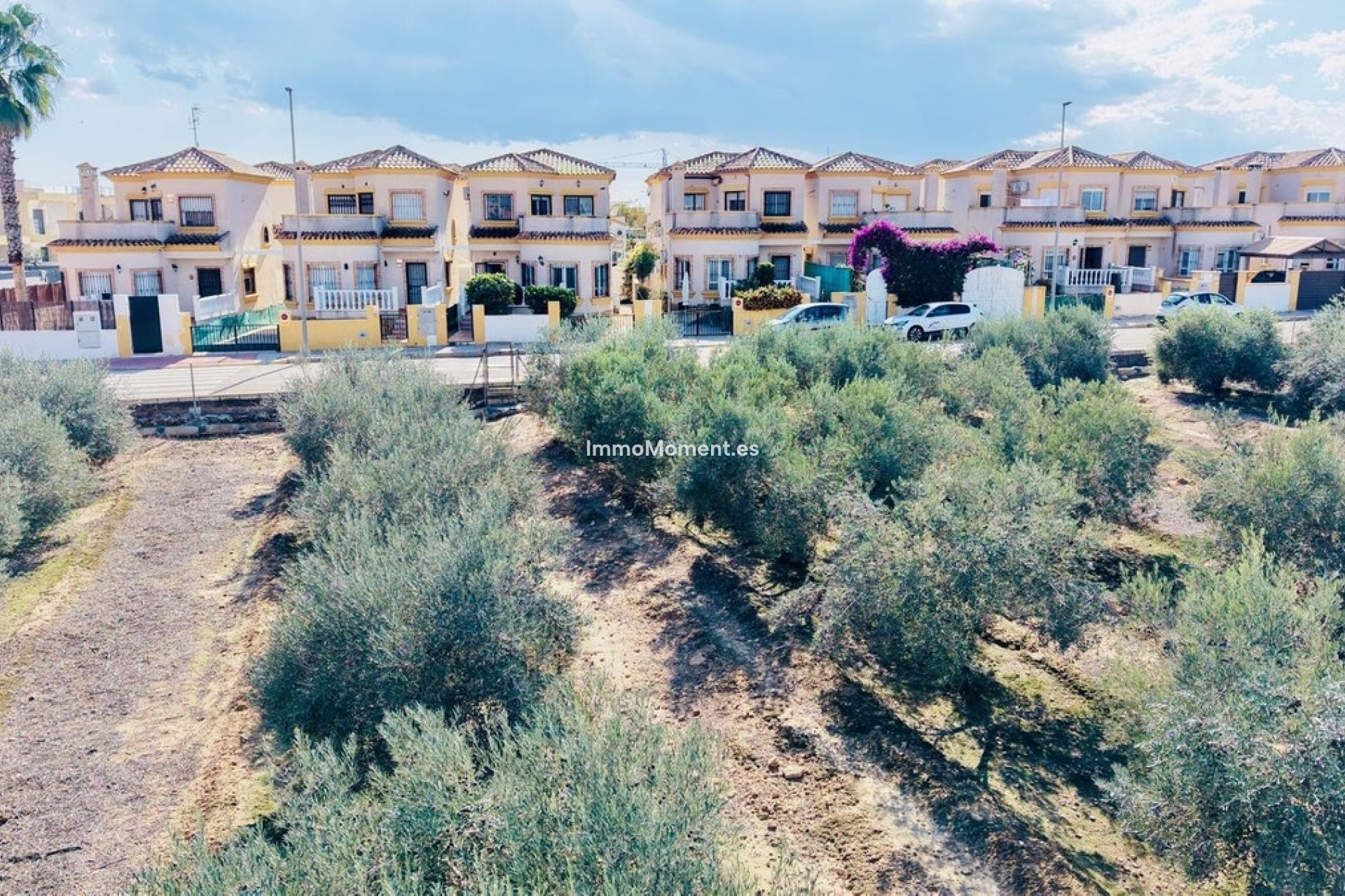 Reventa - Villa independiente - Los Montesinos - Los Montesinos Centro