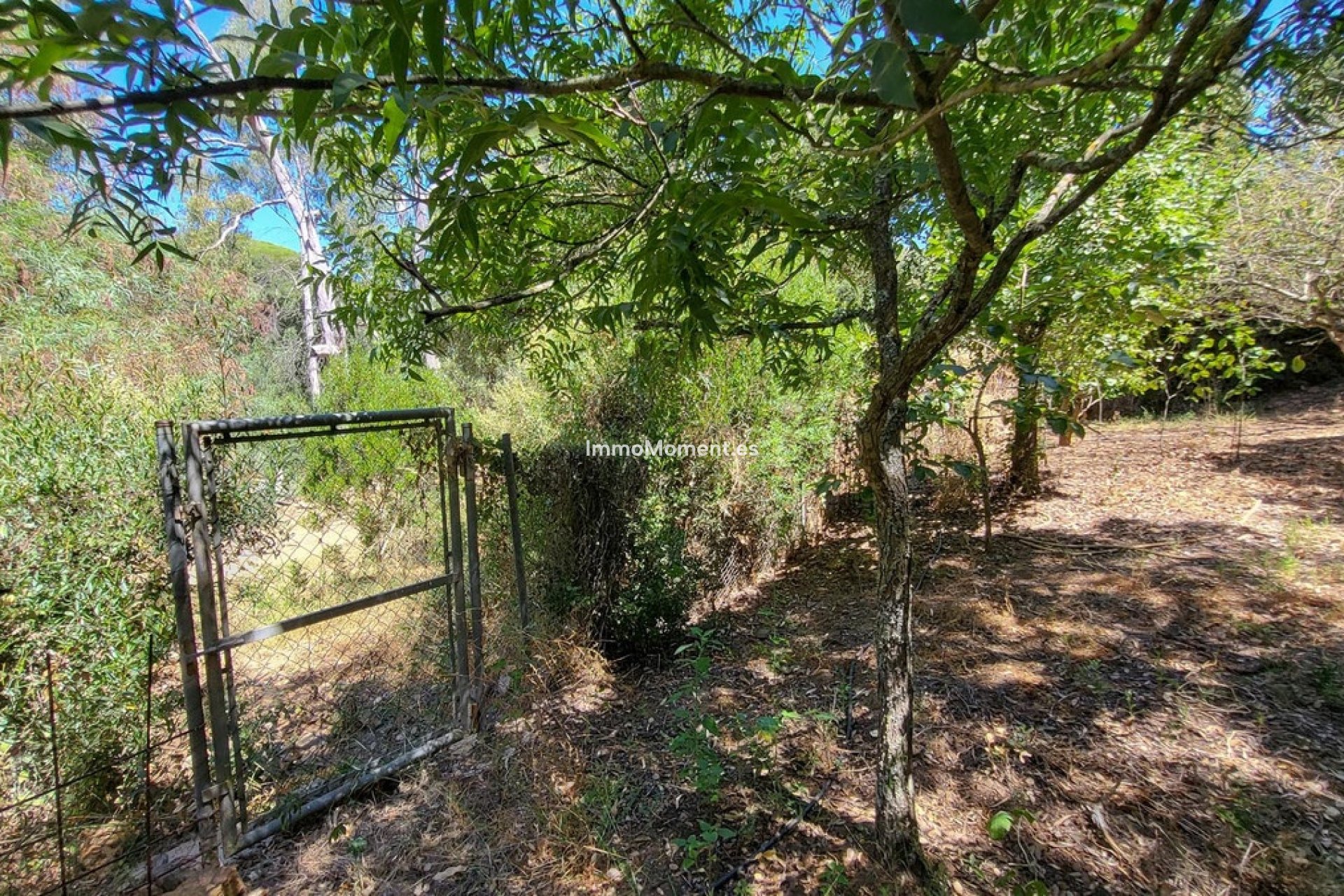 Reventa - Villa independiente - Marbella - Elviria
