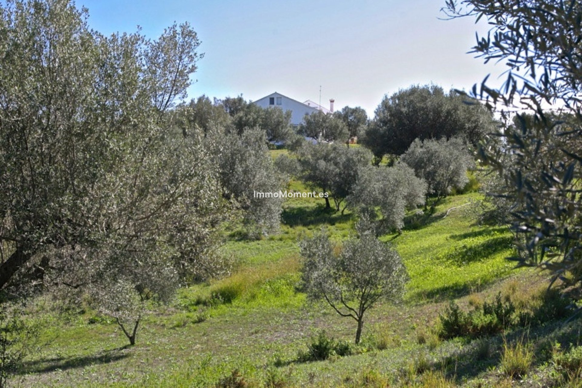 Reventa - Villa independiente - Marbella - Elviria
