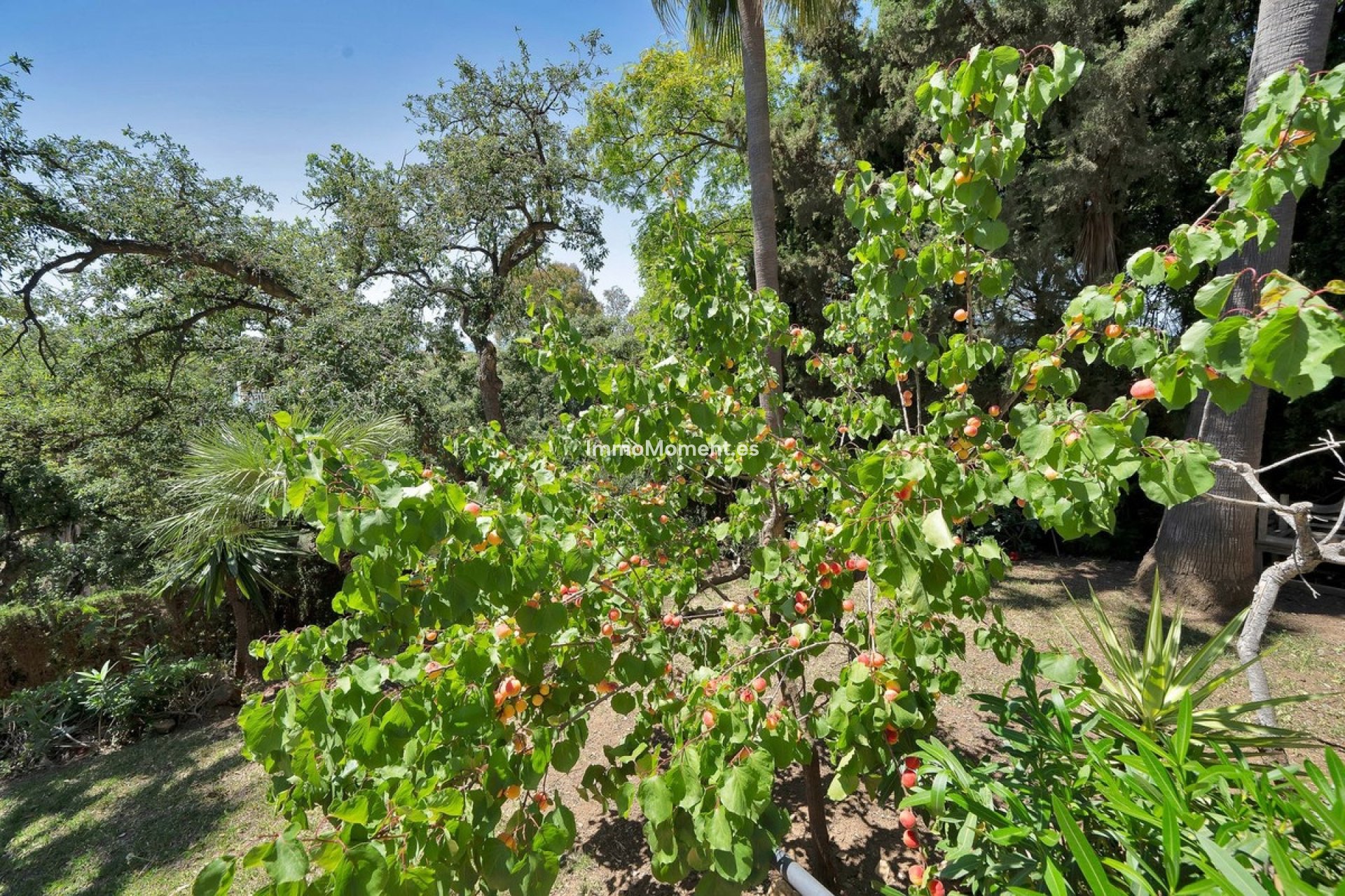 Reventa - Villa independiente - Marbella - Hacienda Las Chapas